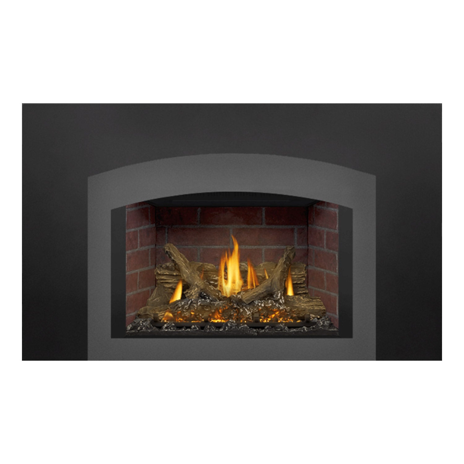Napoleon GDIX3N-1 Oakville Series Electronic Ignition Direct Vent Gas Fireplace Insert