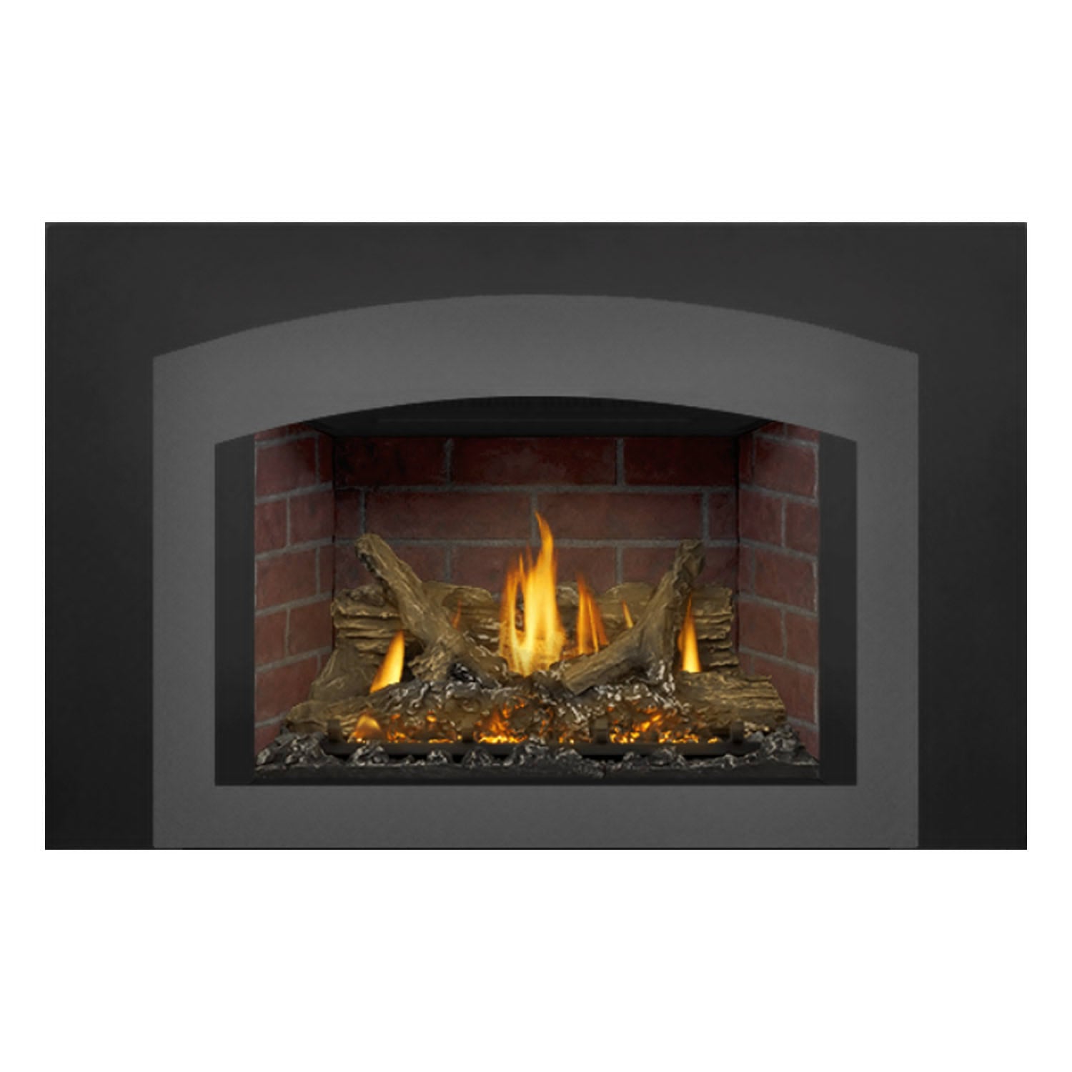 Napoleon GDIX3N-1 Oakville Series Electronic Ignition Direct Vent Gas Fireplace Insert