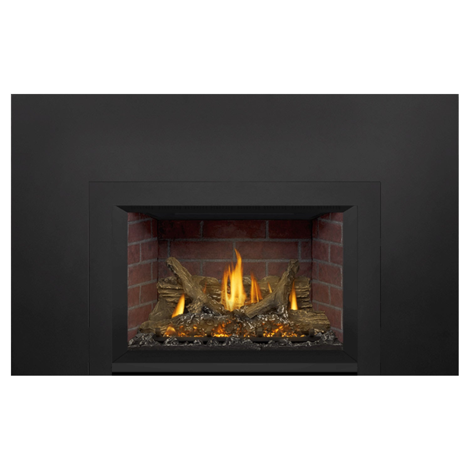 Napoleon GDIX3N-1 Oakville Series Electronic Ignition Direct Vent Gas Fireplace Insert