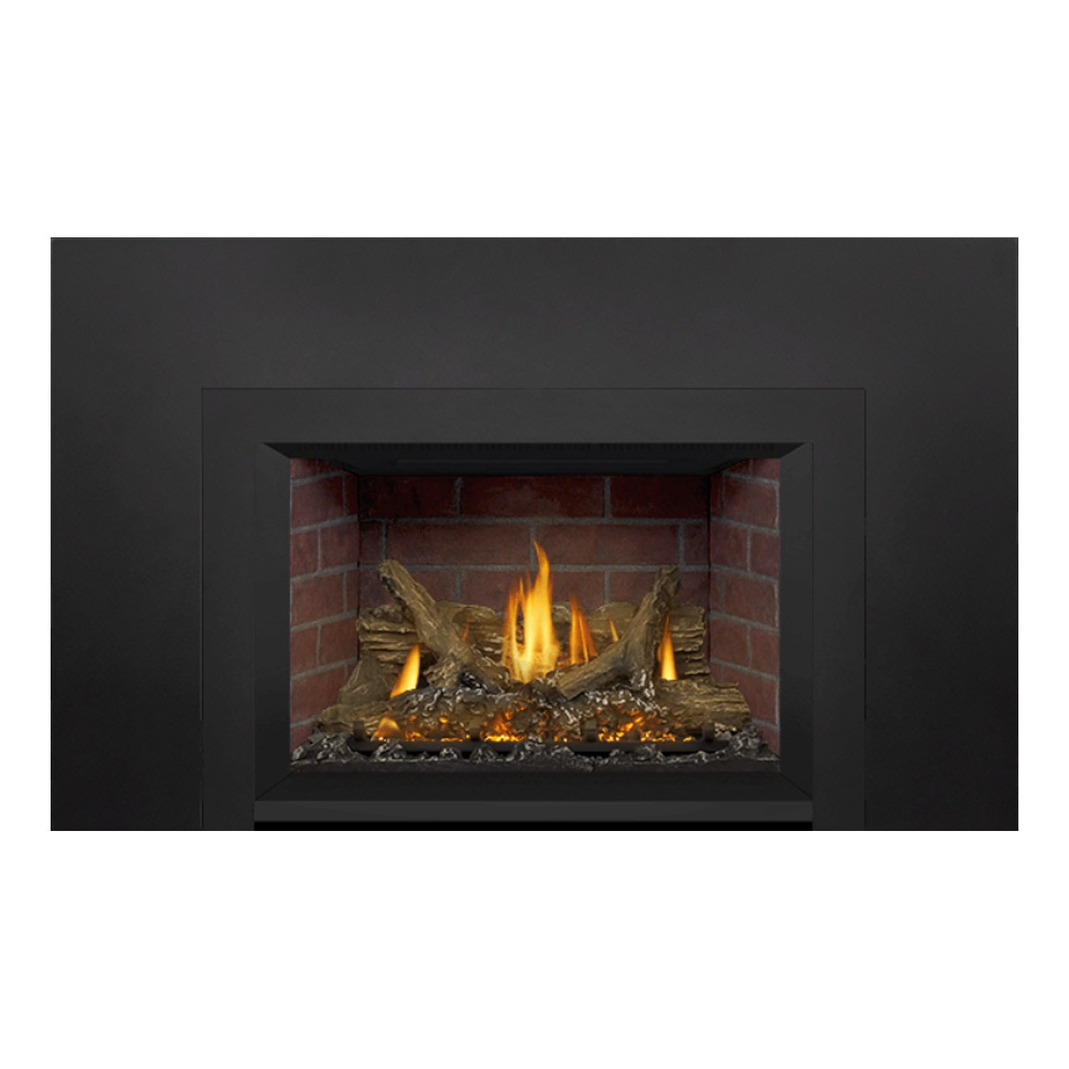 Napoleon GDIX3N-1 Oakville Series Electronic Ignition Direct Vent Gas Fireplace Insert