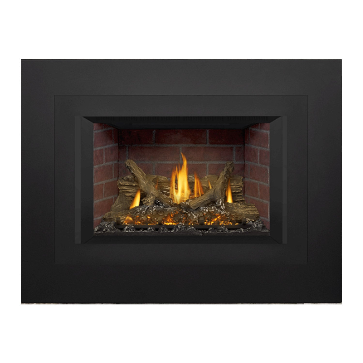 Napoleon GDIX3N-1 Oakville Series Electronic Ignition Direct Vent Gas Fireplace Insert