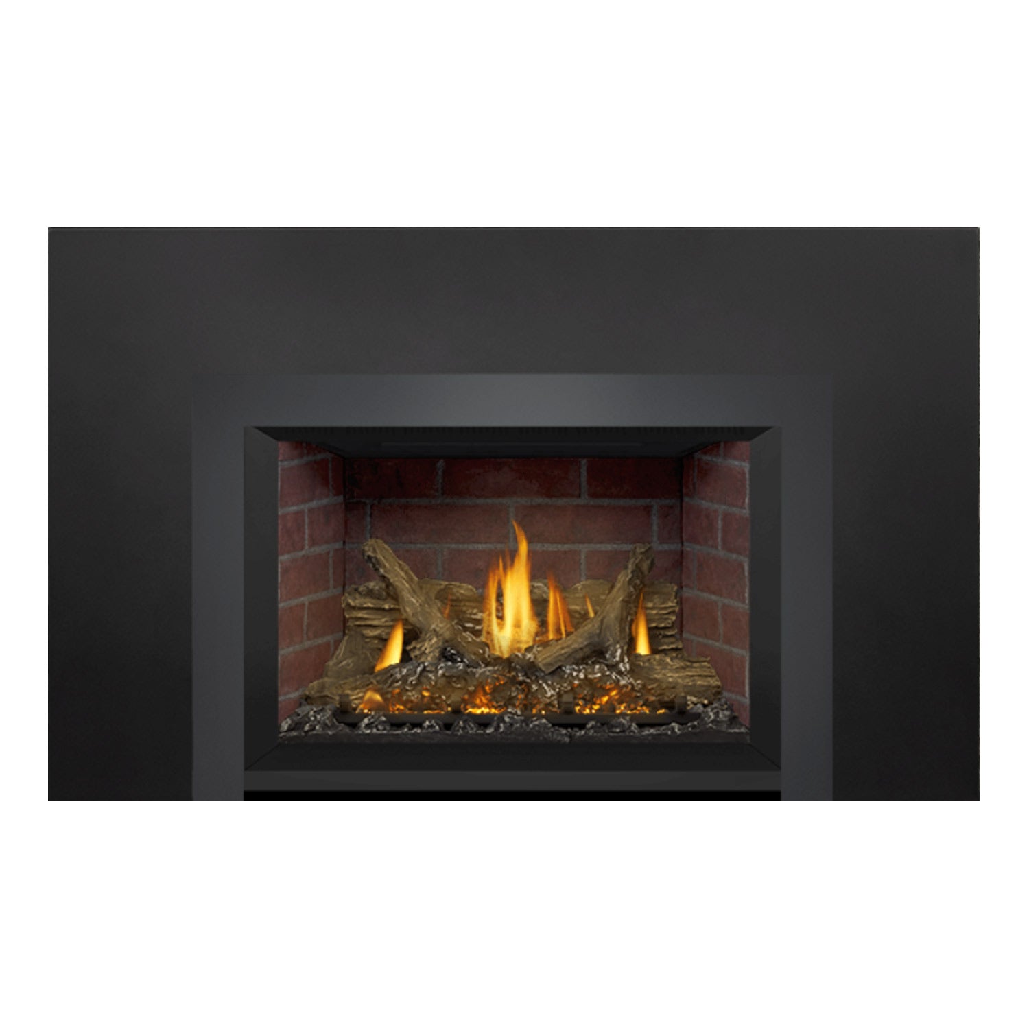 Napoleon GDIX3N-1 Oakville Series Electronic Ignition Direct Vent Gas Fireplace Insert