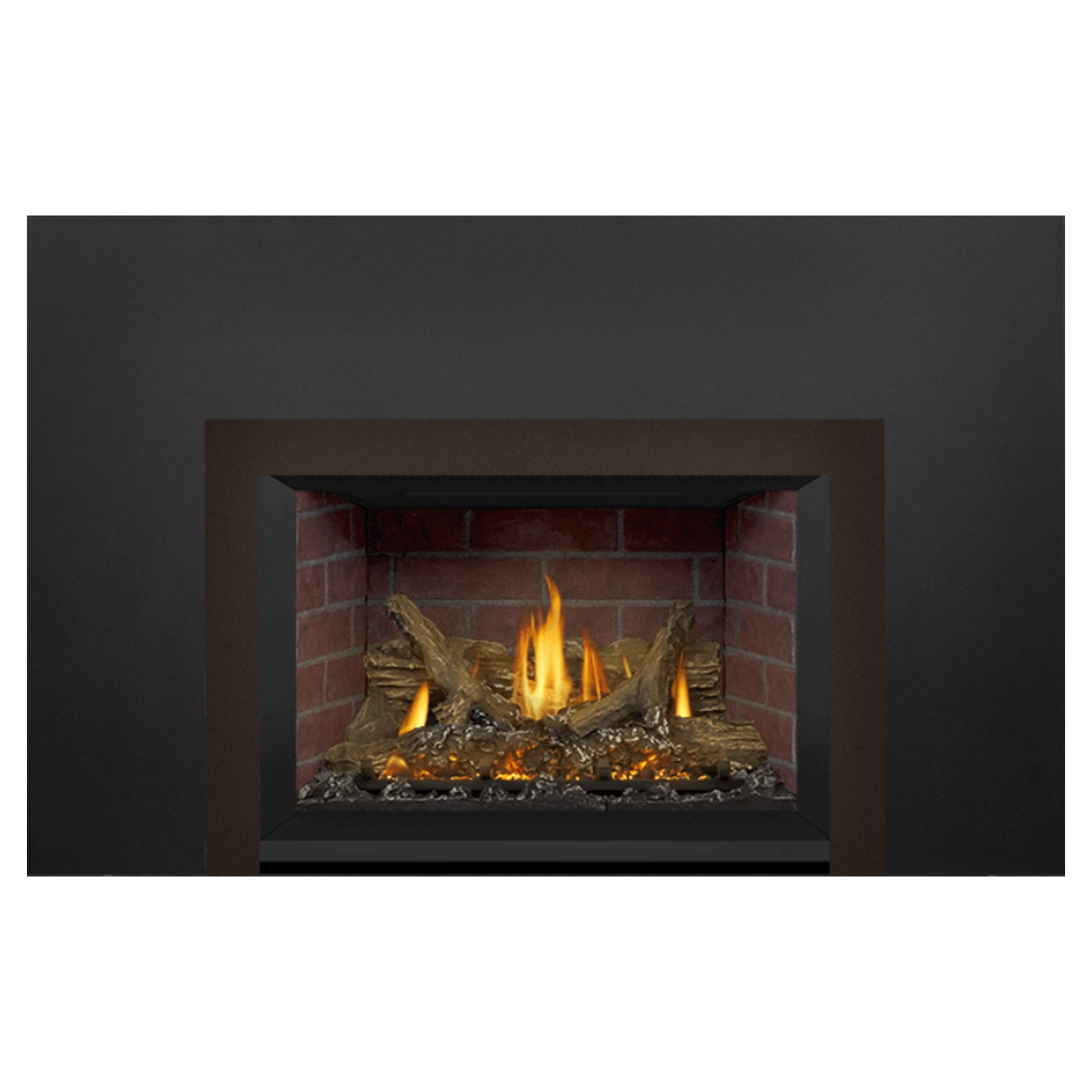 Napoleon GDIX3N-1 Oakville Series Electronic Ignition Direct Vent Gas Fireplace Insert