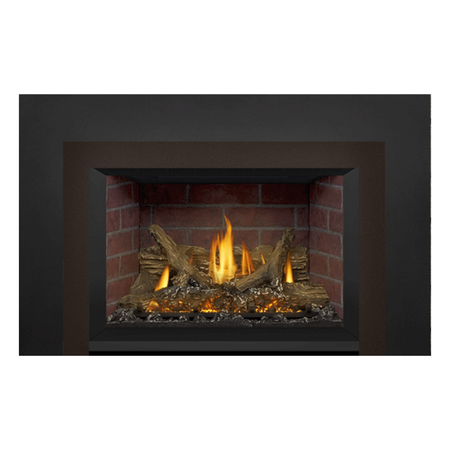 Napoleon GDIX3N-1 Oakville Series Electronic Ignition Direct Vent Gas Fireplace Insert