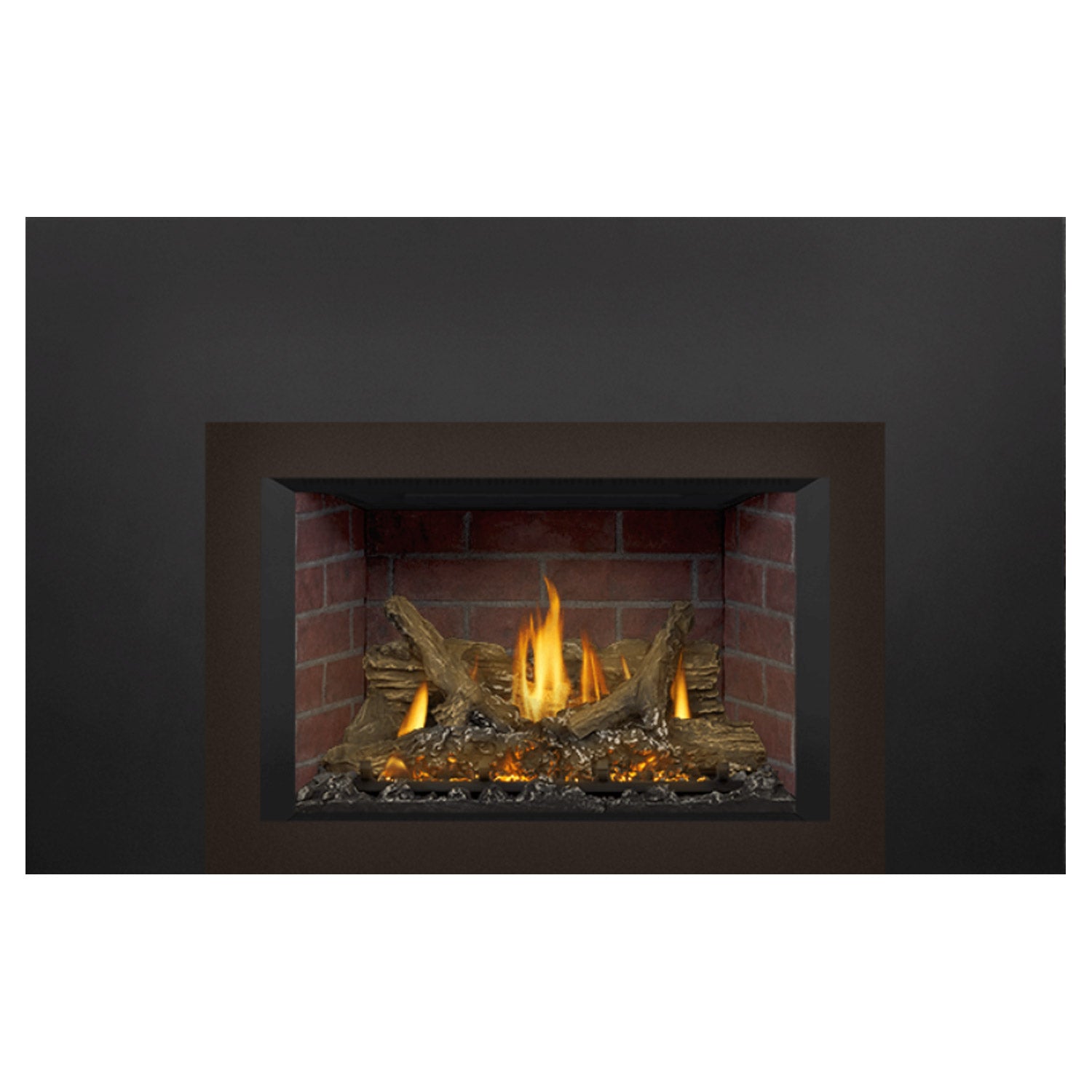 Napoleon GDIX3N-1 Oakville Series Electronic Ignition Direct Vent Gas Fireplace Insert