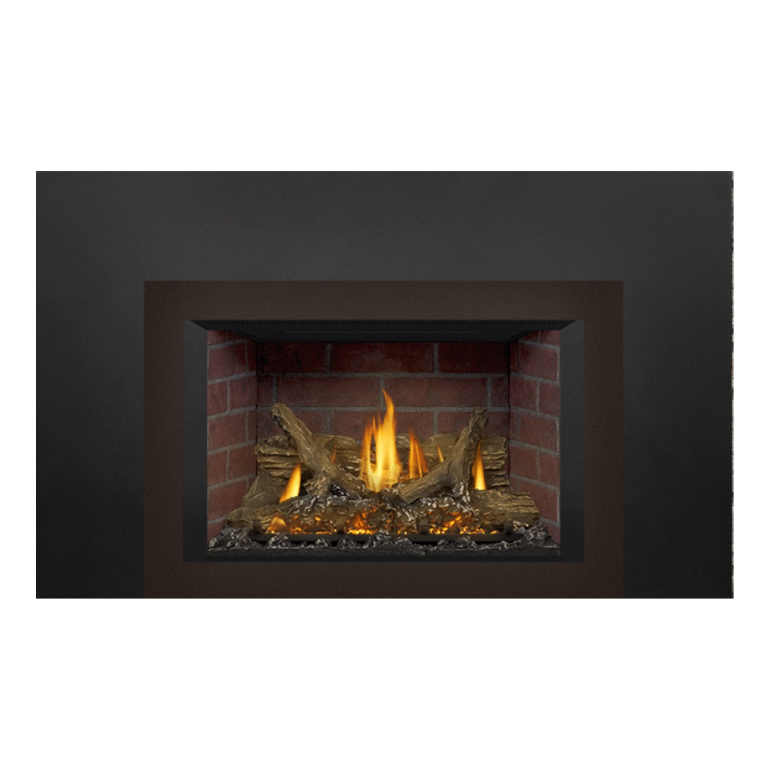 Napoleon GDIX3N-1 Oakville Series Electronic Ignition Direct Vent Gas Fireplace Insert
