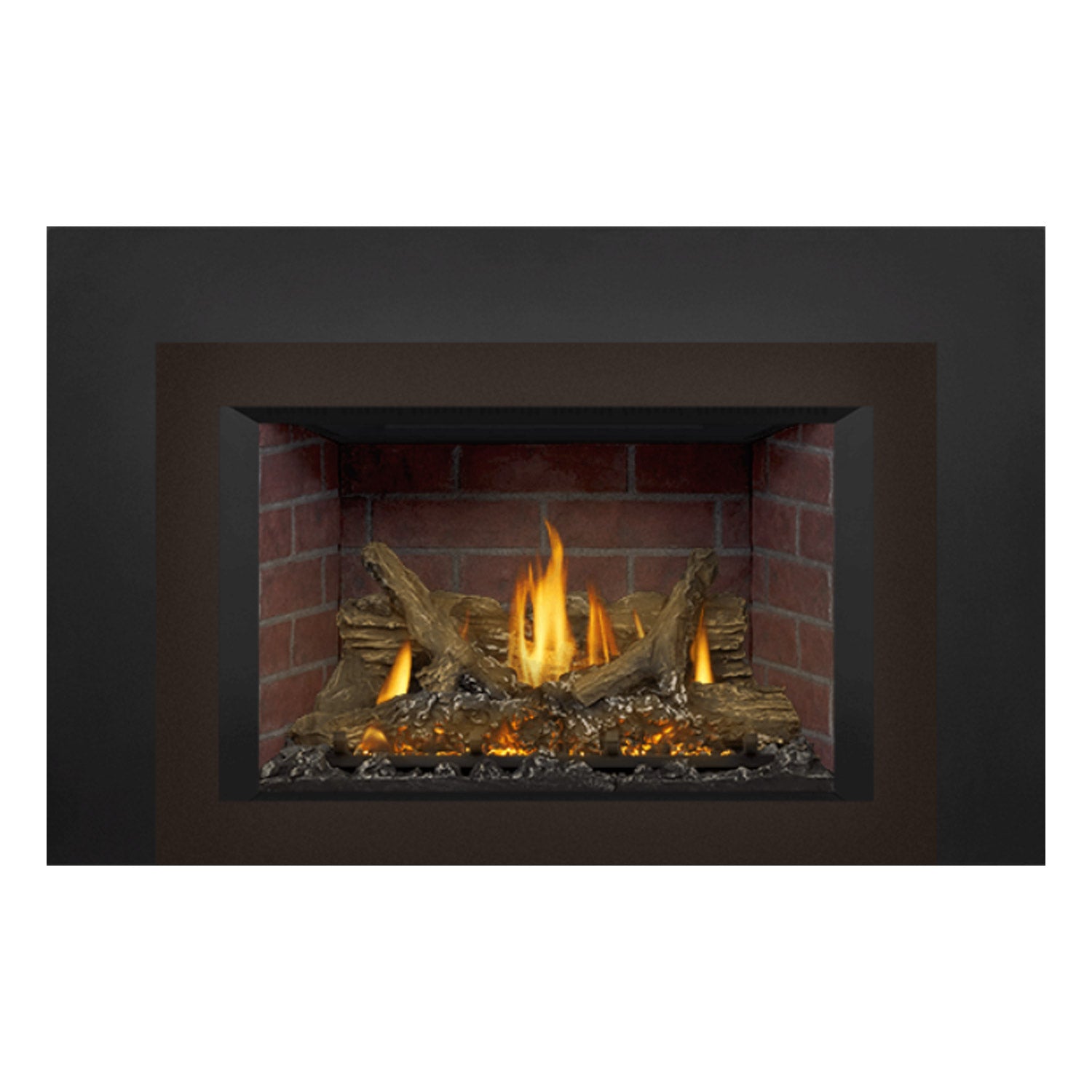 Napoleon GDIX3N-1 Oakville Series Electronic Ignition Direct Vent Gas Fireplace Insert