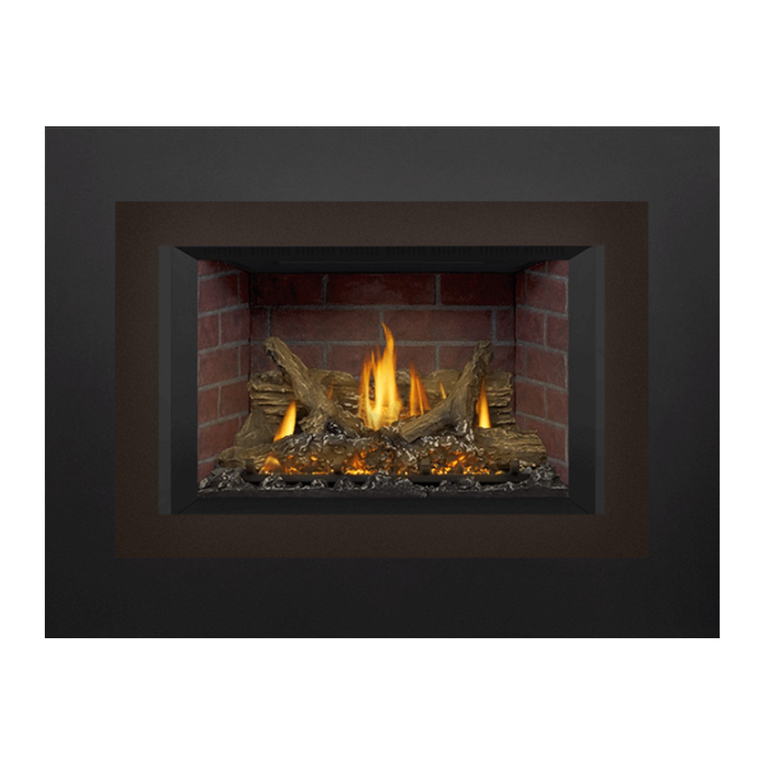 Napoleon GDIX3N-1 Oakville Series Electronic Ignition Direct Vent Gas Fireplace Insert