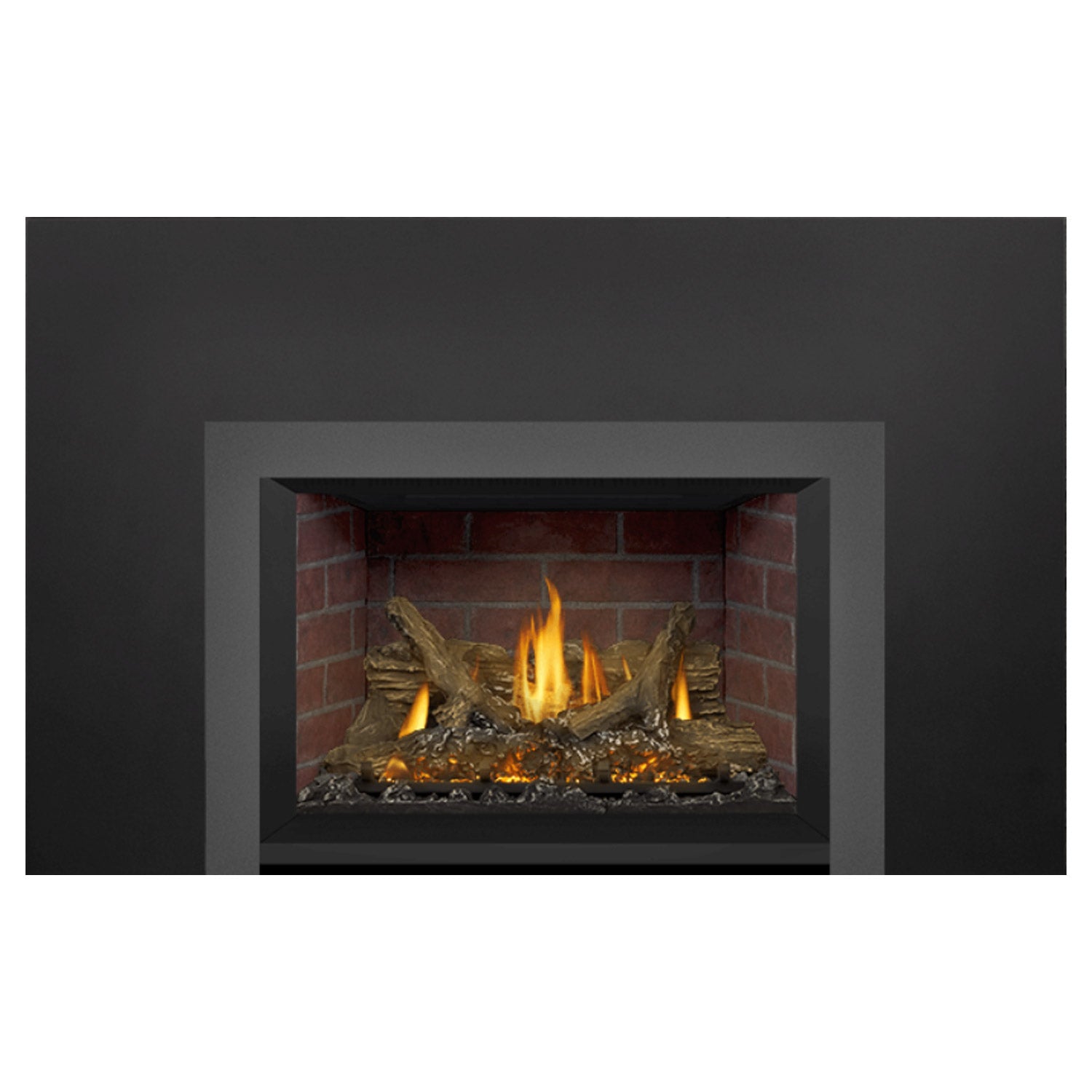 Napoleon GDIX3N-1 Oakville Series Electronic Ignition Direct Vent Gas Fireplace Insert