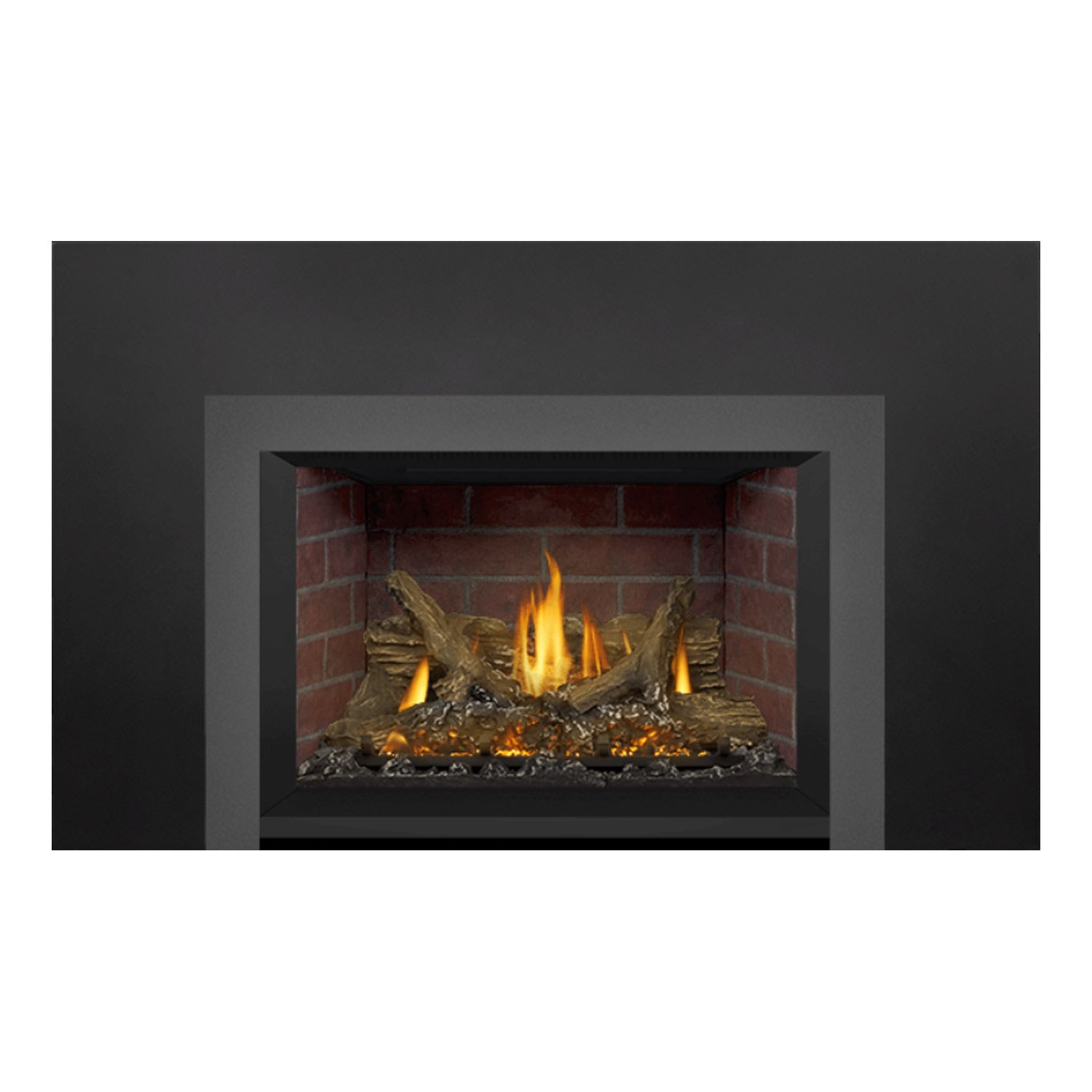 Napoleon GDIX3N-1 Oakville Series Electronic Ignition Direct Vent Gas Fireplace Insert