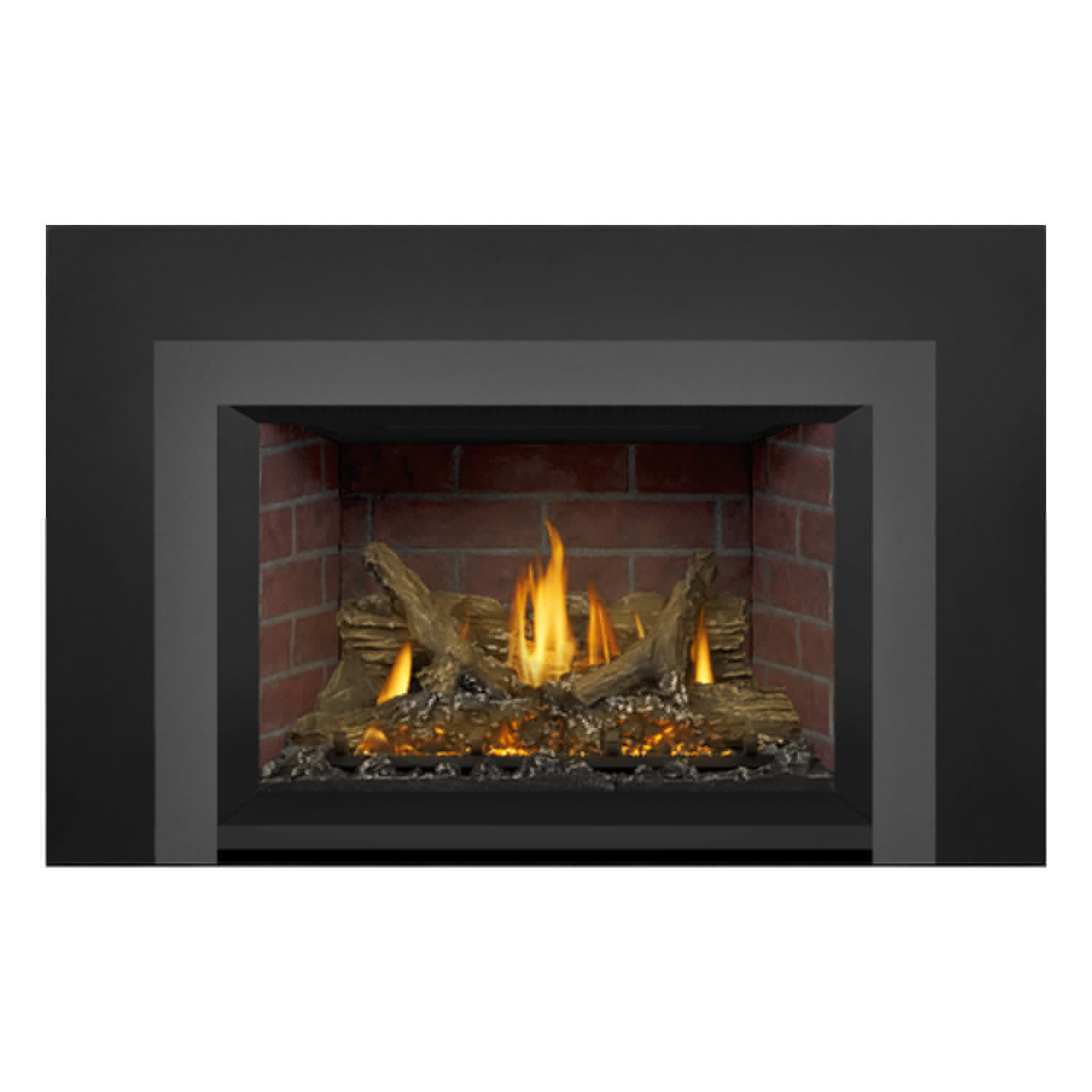 Napoleon GDIX3N-1 Oakville Series Electronic Ignition Direct Vent Gas Fireplace Insert