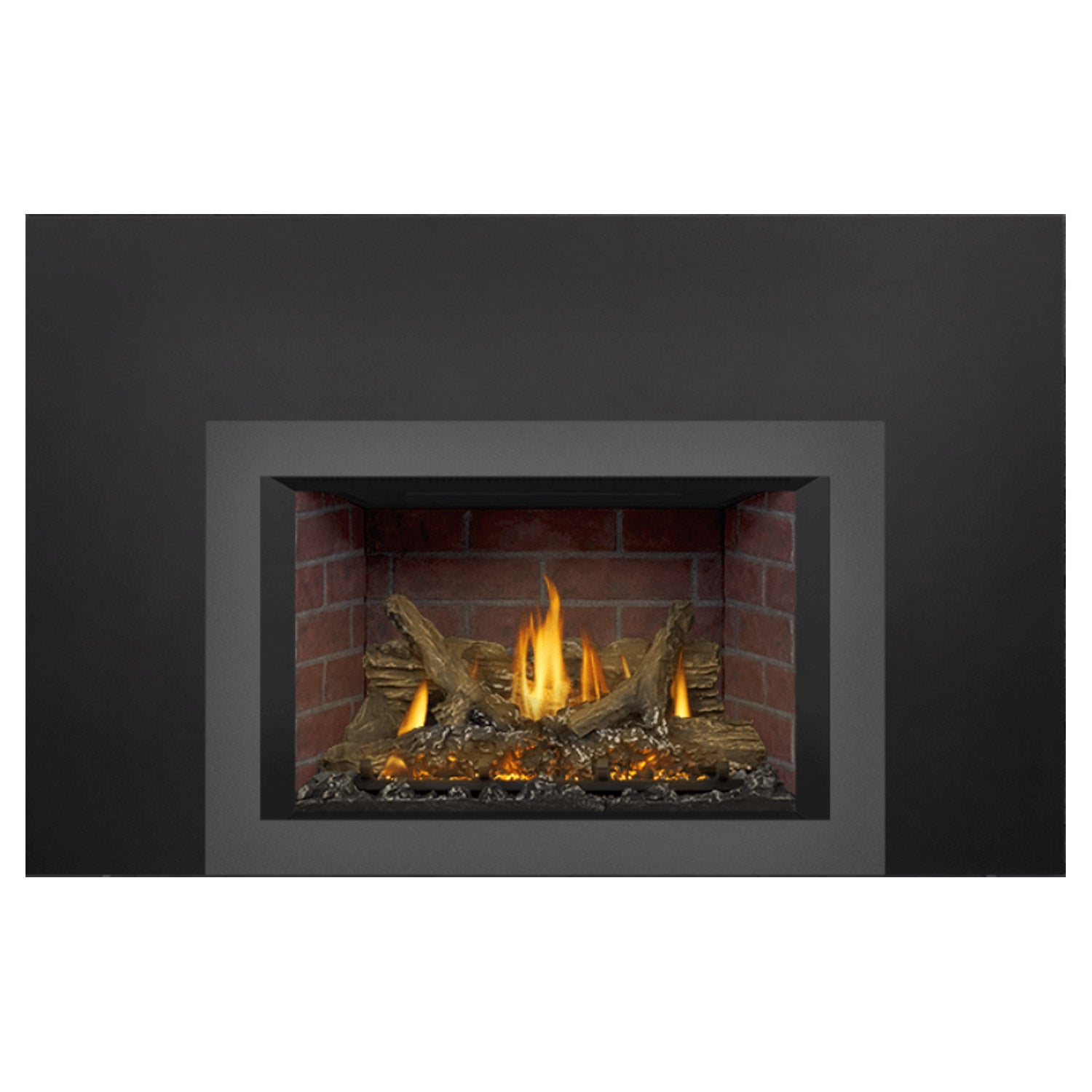 Napoleon GDIX3N-1 Oakville Series Electronic Ignition Direct Vent Gas Fireplace Insert