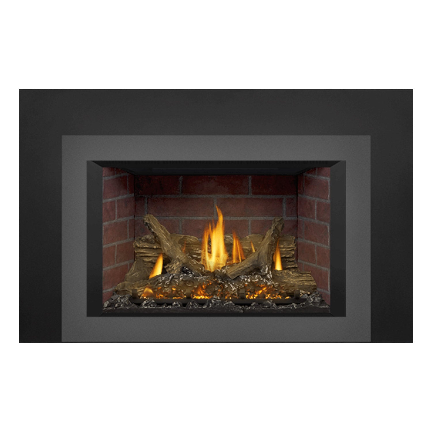 Napoleon GDIX3N-1 Oakville Series Electronic Ignition Direct Vent Gas Fireplace Insert