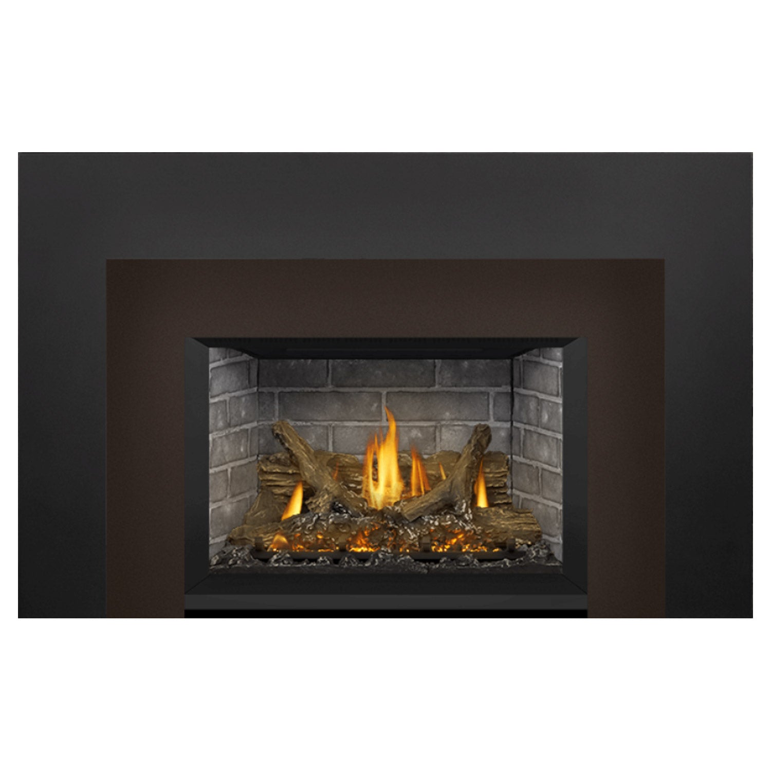 Napoleon GDIX3N-1 Oakville Series Electronic Ignition Direct Vent Gas Fireplace Insert
