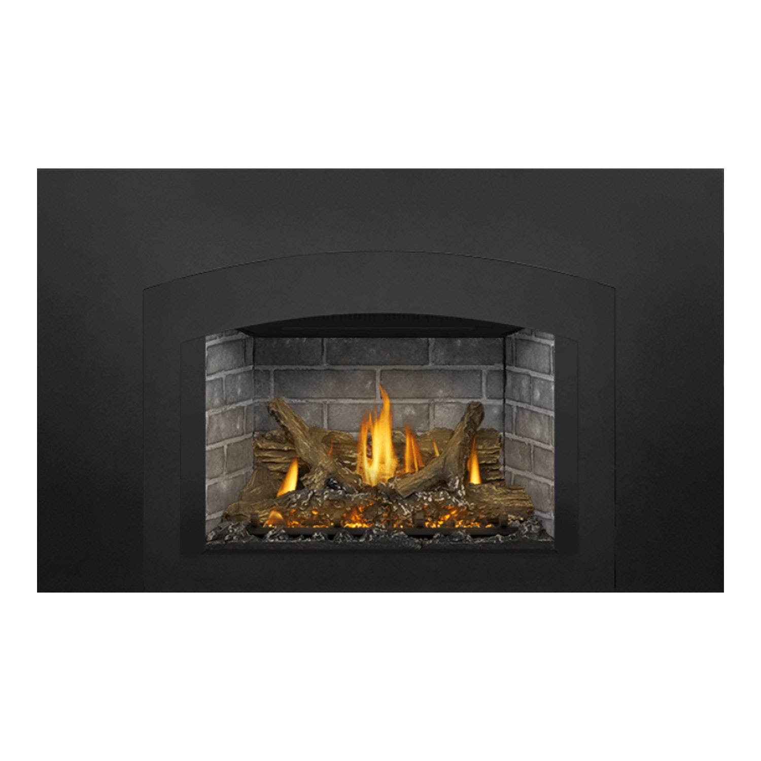 Napoleon GDIX3N-1 Oakville Series Electronic Ignition Direct Vent Gas Fireplace Insert