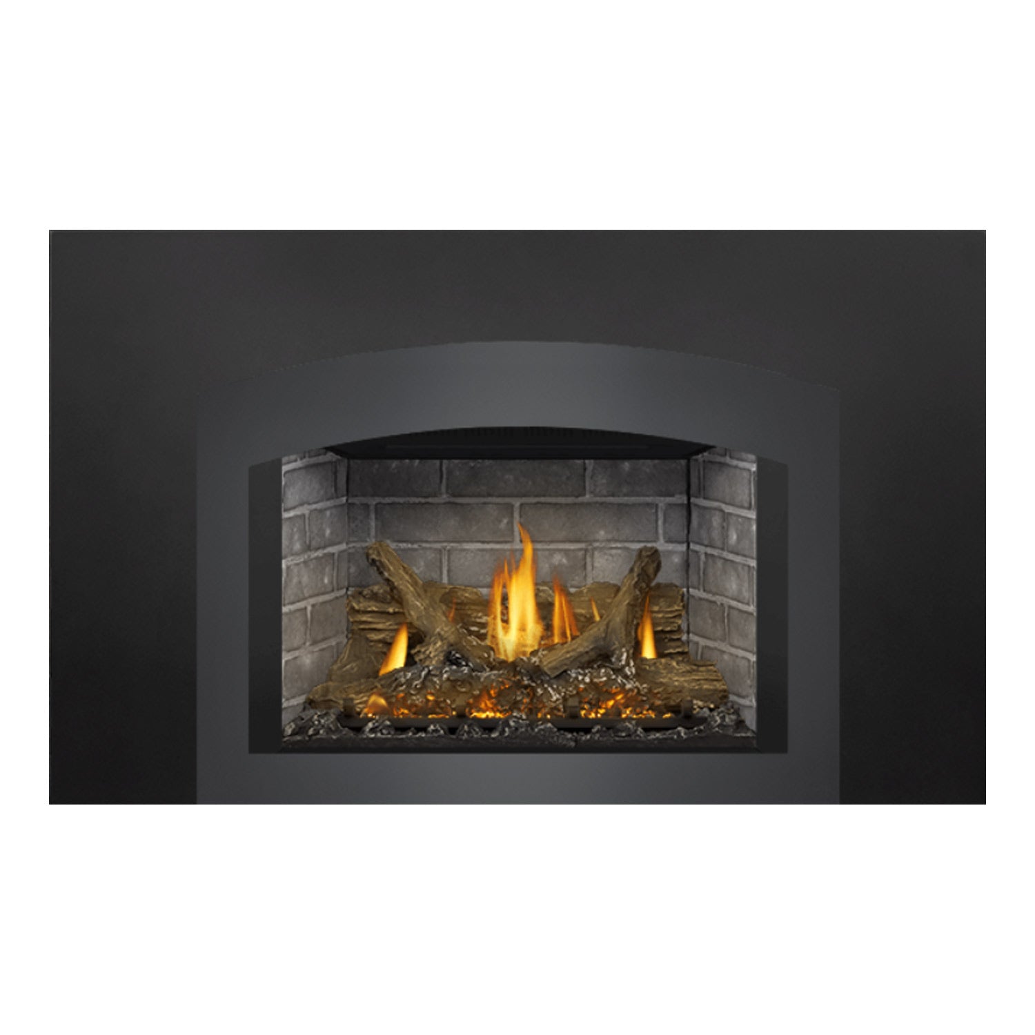 Napoleon GDIX3N-1 Oakville Series Electronic Ignition Direct Vent Gas Fireplace Insert