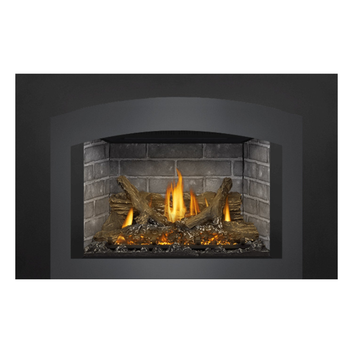 Napoleon GDIX3N-1 Oakville Series Electronic Ignition Direct Vent Gas Fireplace Insert