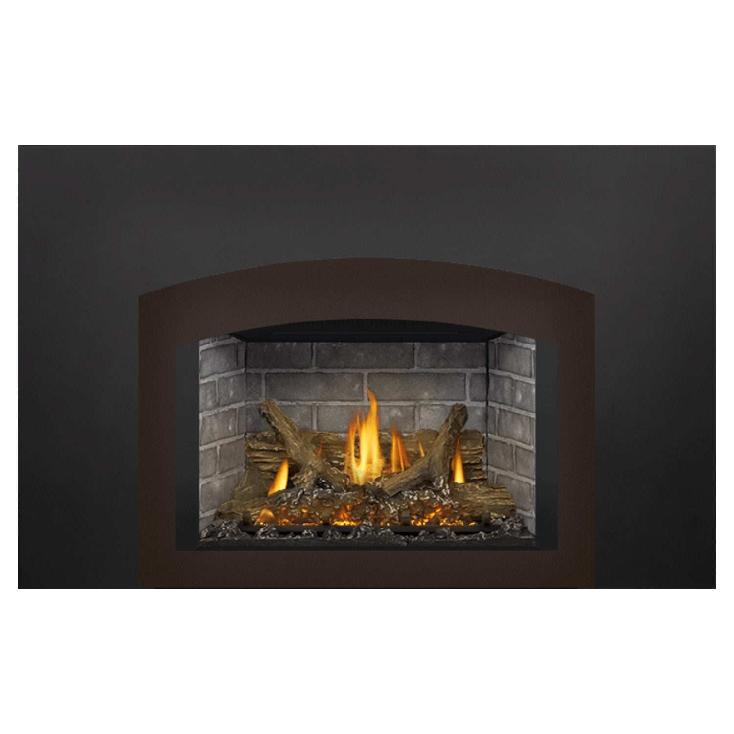 Napoleon GDIX3N-1 Oakville Series Electronic Ignition Direct Vent Gas Fireplace Insert