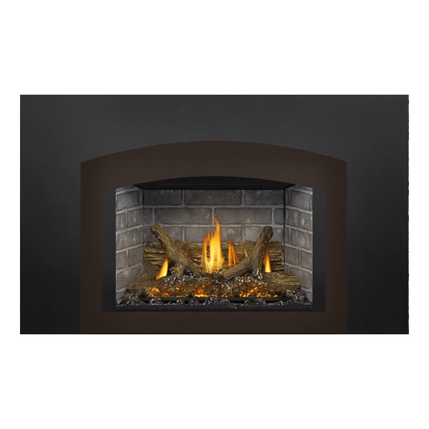 Napoleon GDIX3N-1 Oakville Series Electronic Ignition Direct Vent Gas Fireplace Insert