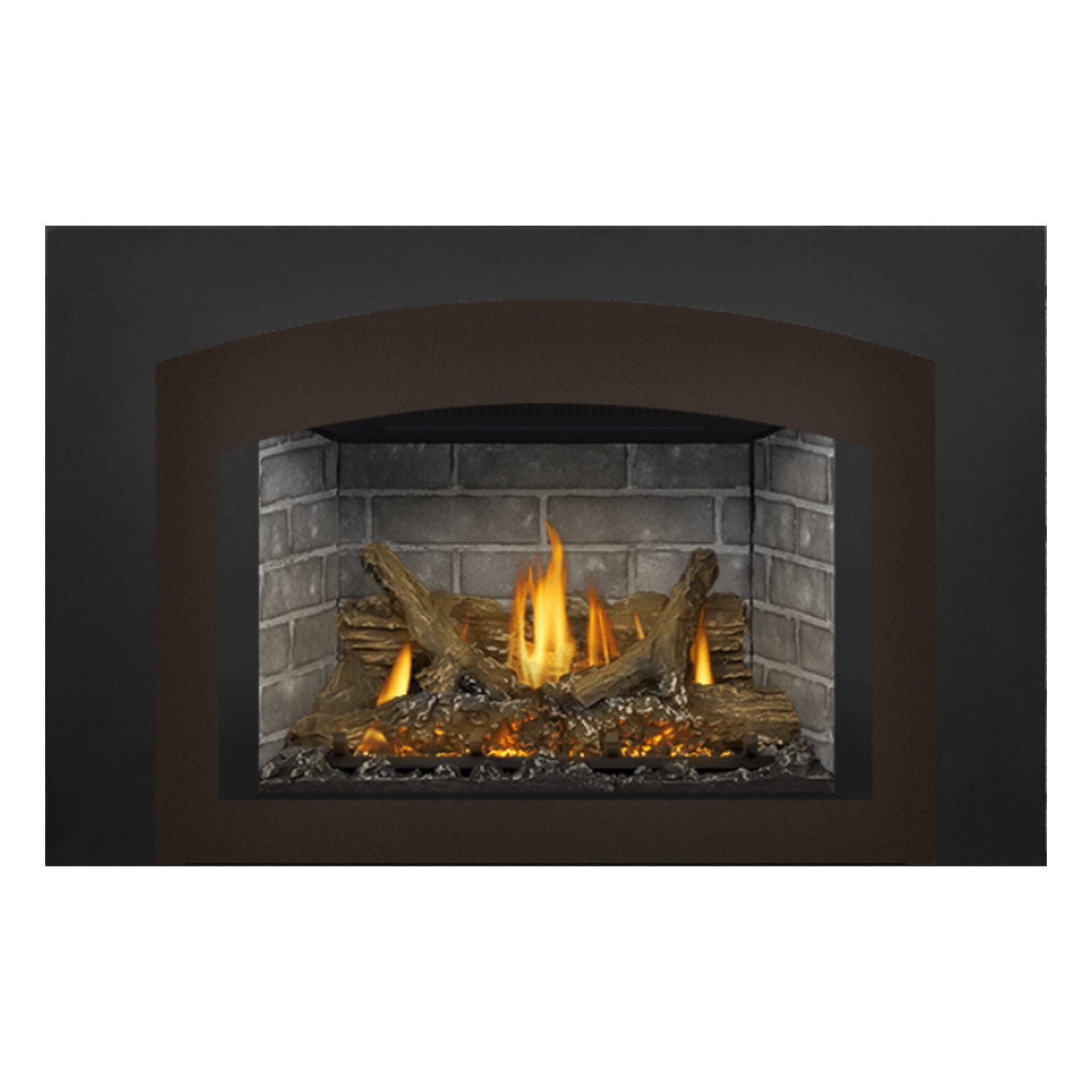 Napoleon GDIX3N-1 Oakville Series Electronic Ignition Direct Vent Gas Fireplace Insert