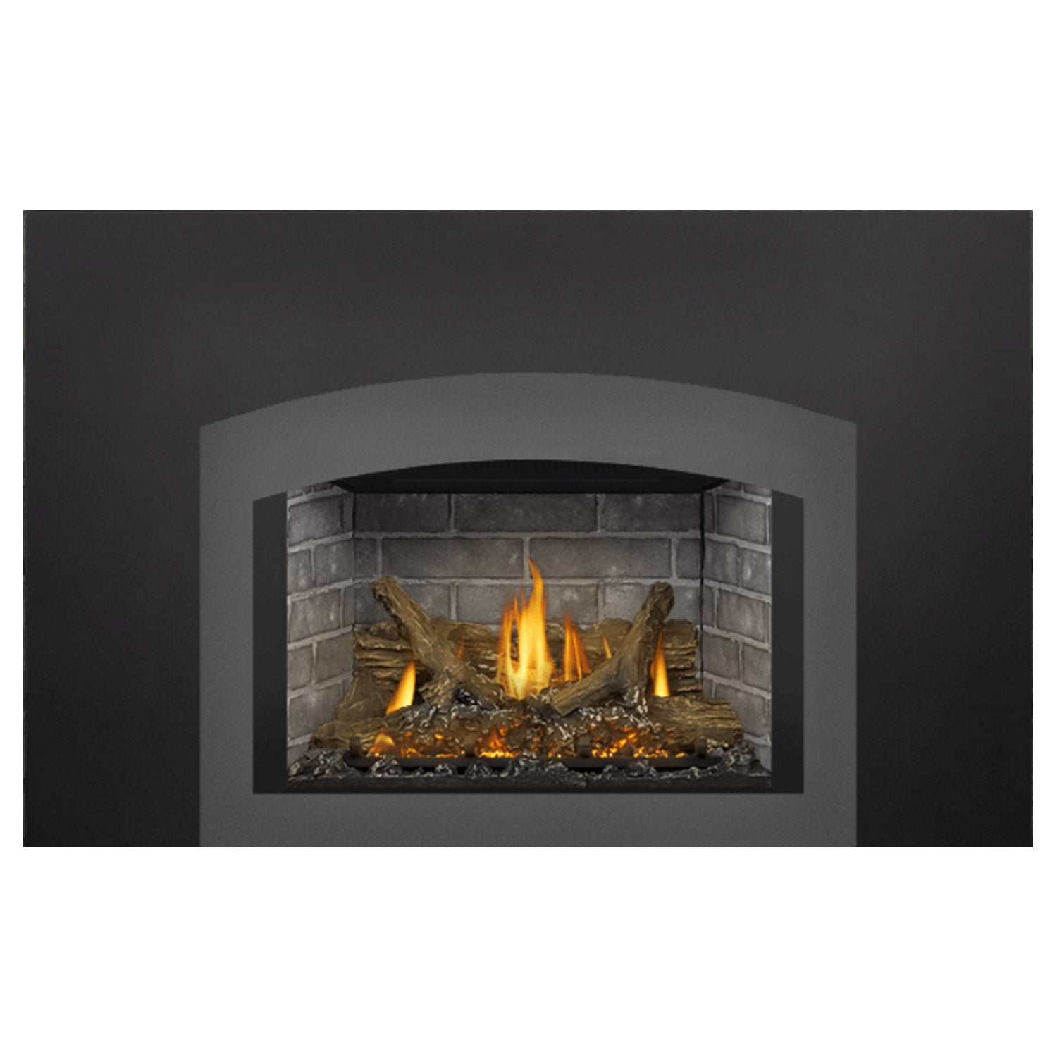 Napoleon GDIX3N-1 Oakville Series Electronic Ignition Direct Vent Gas Fireplace Insert
