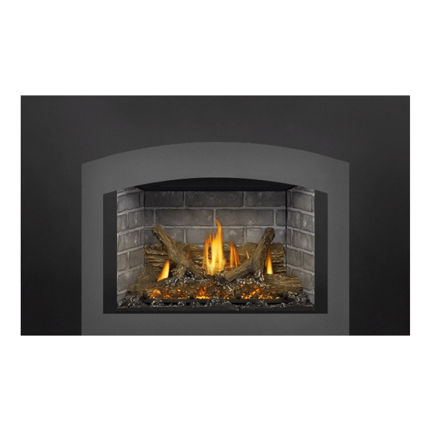 Napoleon GDIX3N-1 Oakville Series Electronic Ignition Direct Vent Gas Fireplace Insert