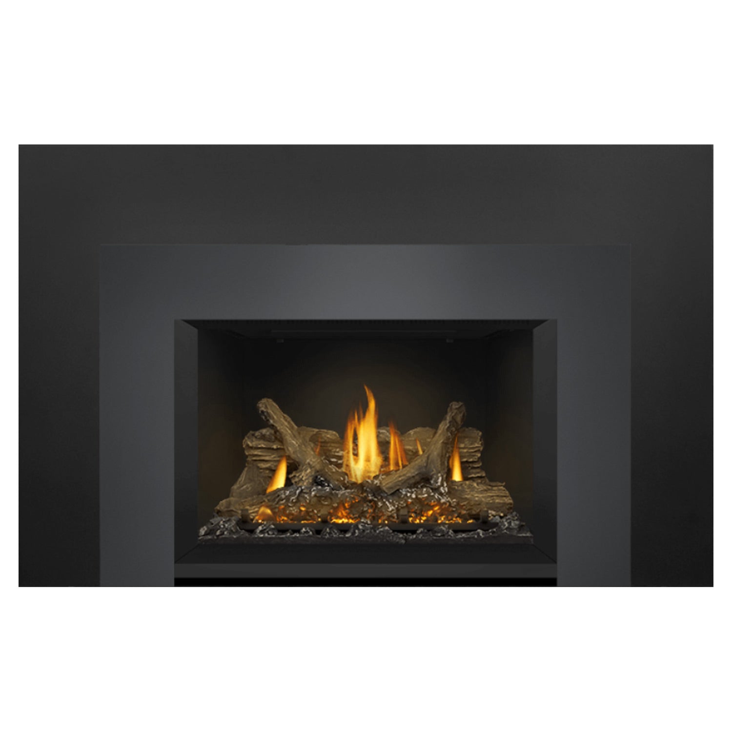 Napoleon GDIX3N-1 Oakville Series Electronic Ignition Direct Vent Gas Fireplace Insert
