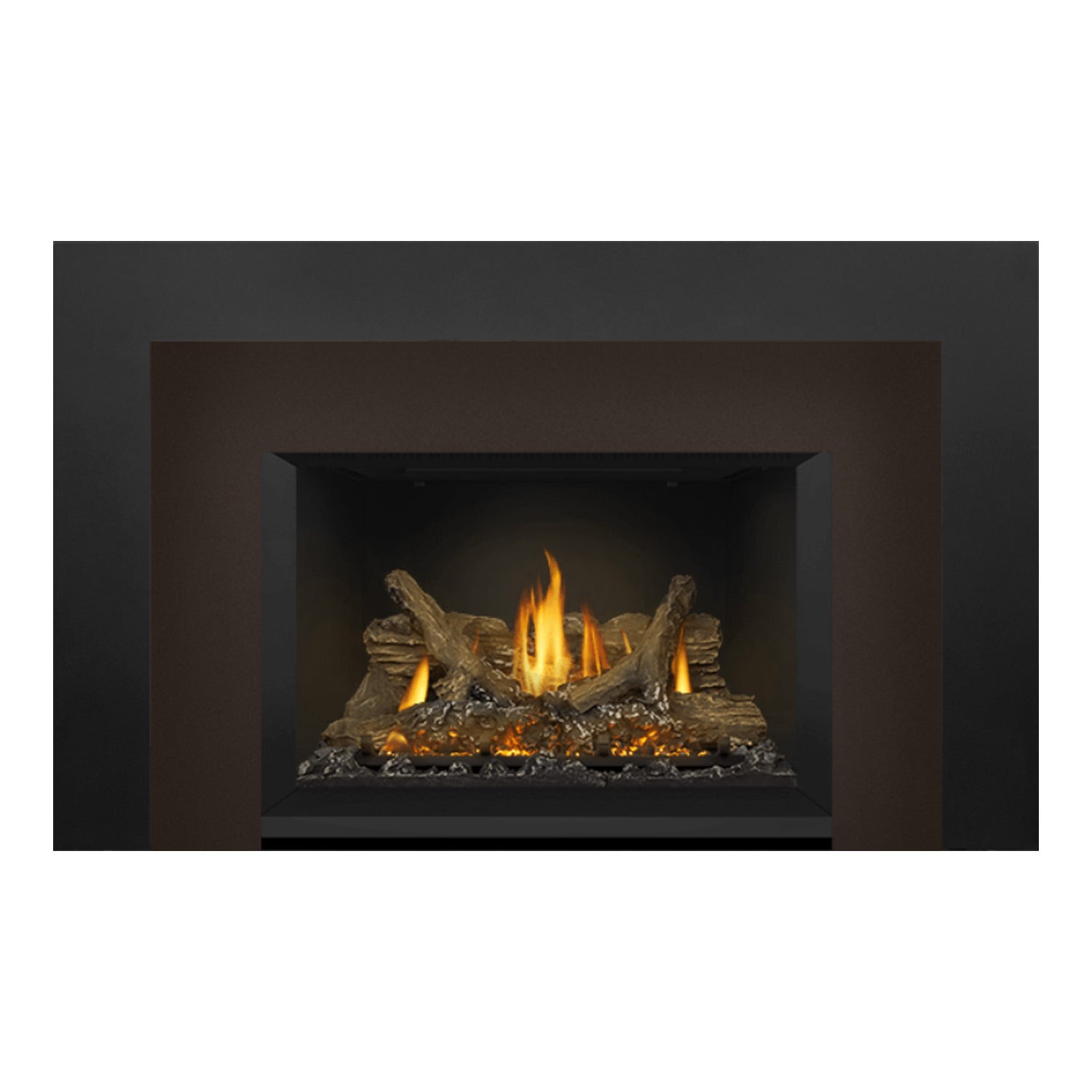 Napoleon GDIX3N-1 Oakville Series Electronic Ignition Direct Vent Gas Fireplace Insert