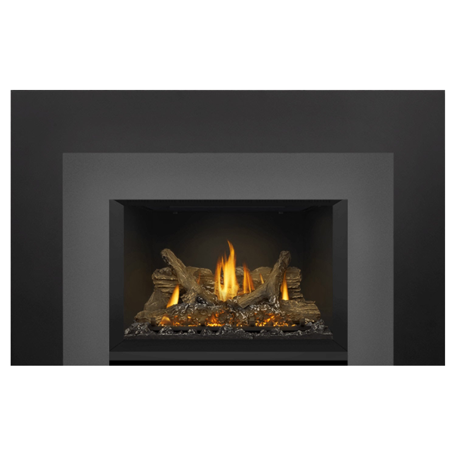 Napoleon GDIX3N-1 Oakville Series Electronic Ignition Direct Vent Gas Fireplace Insert