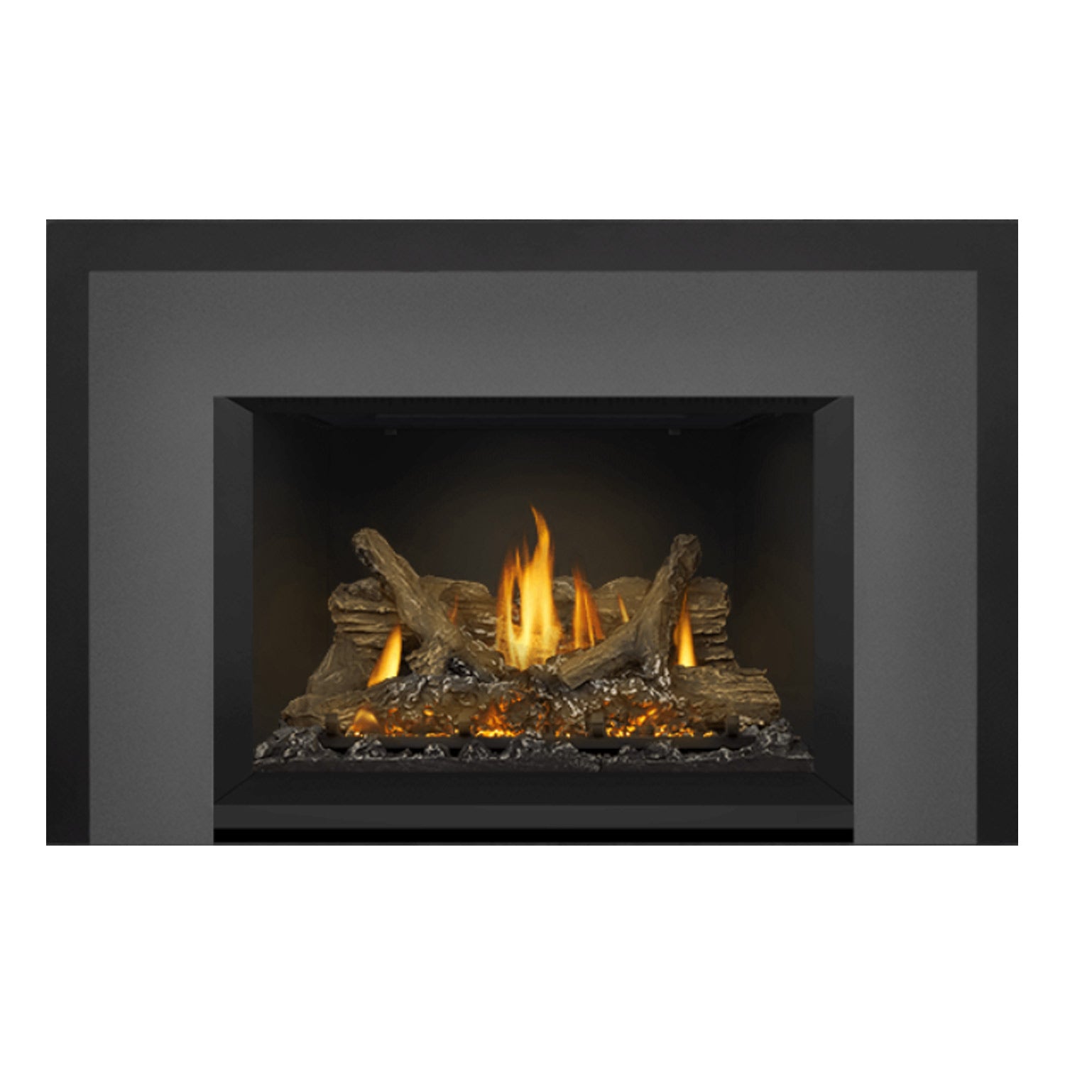 Napoleon GDIX3N-1 Oakville Series Electronic Ignition Direct Vent Gas Fireplace Insert