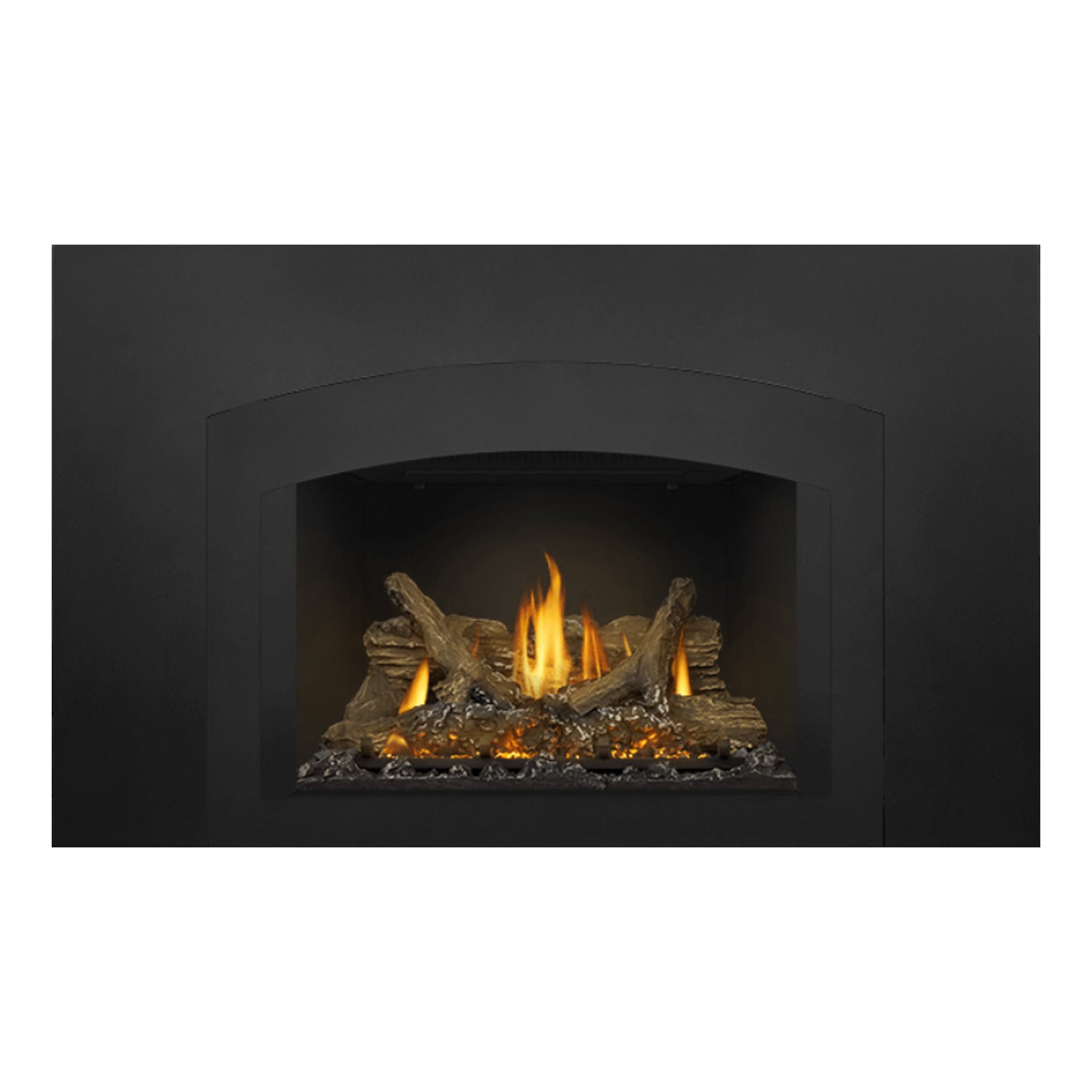 Napoleon GDIX3N-1 Oakville Series Electronic Ignition Direct Vent Gas Fireplace Insert