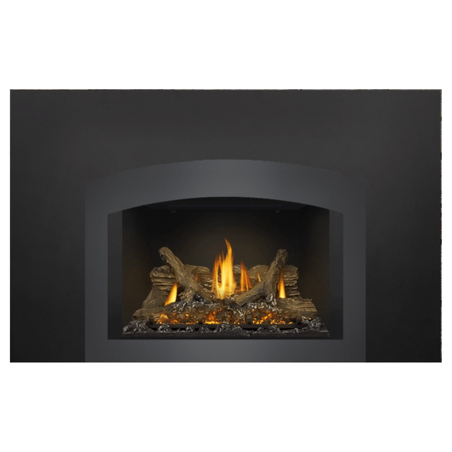 Napoleon GDIX3N-1 Oakville Series Electronic Ignition Direct Vent Gas Fireplace Insert