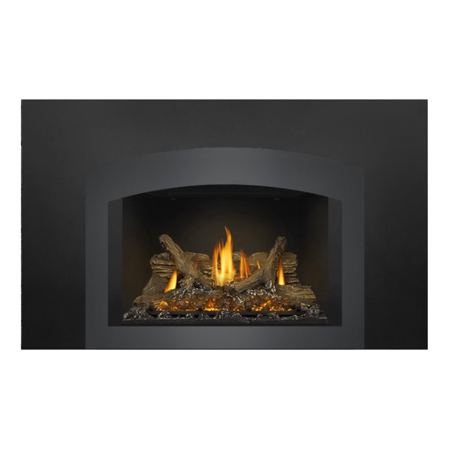 Napoleon GDIX3N-1 Oakville Series Electronic Ignition Direct Vent Gas Fireplace Insert
