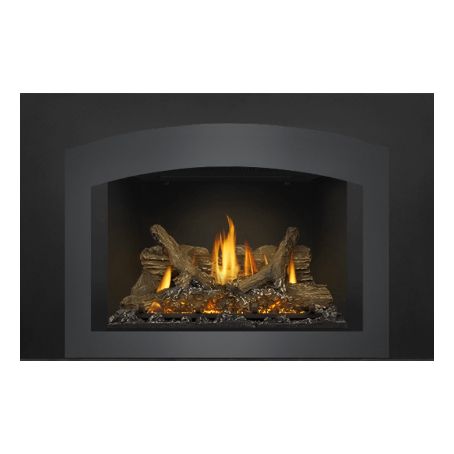 Napoleon GDIX3N-1 Oakville Series Electronic Ignition Direct Vent Gas Fireplace Insert