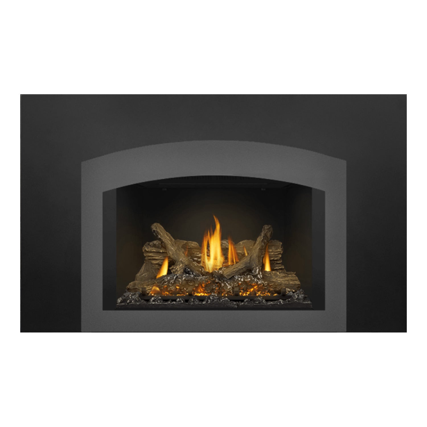 Napoleon GDIX3N-1 Oakville Series Electronic Ignition Direct Vent Gas Fireplace Insert