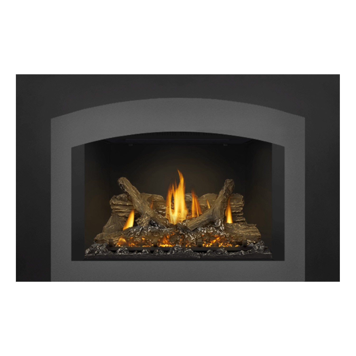 Napoleon GDIX3N-1 Oakville Series Electronic Ignition Direct Vent Gas Fireplace Insert
