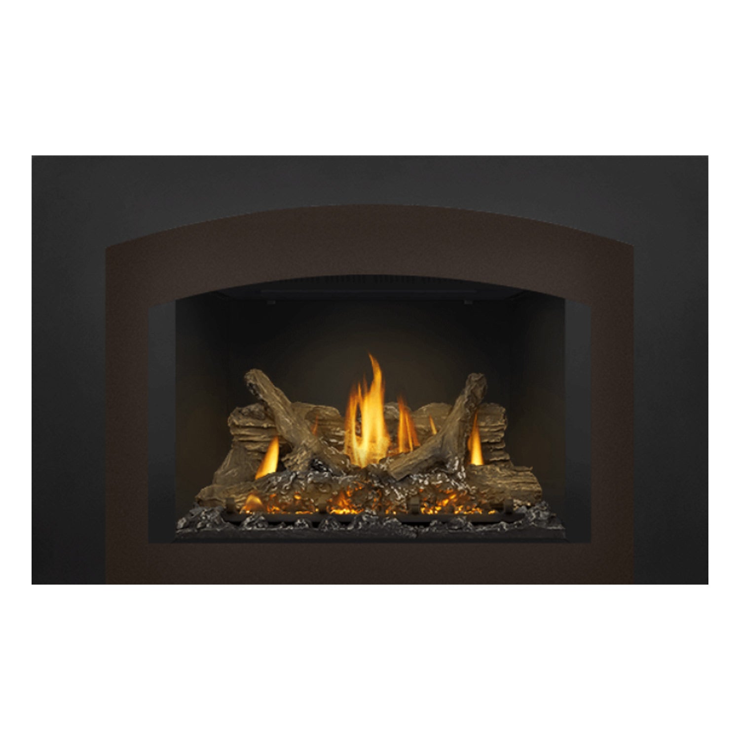 Napoleon GDIX3N-1 Oakville Series Electronic Ignition Direct Vent Gas Fireplace Insert