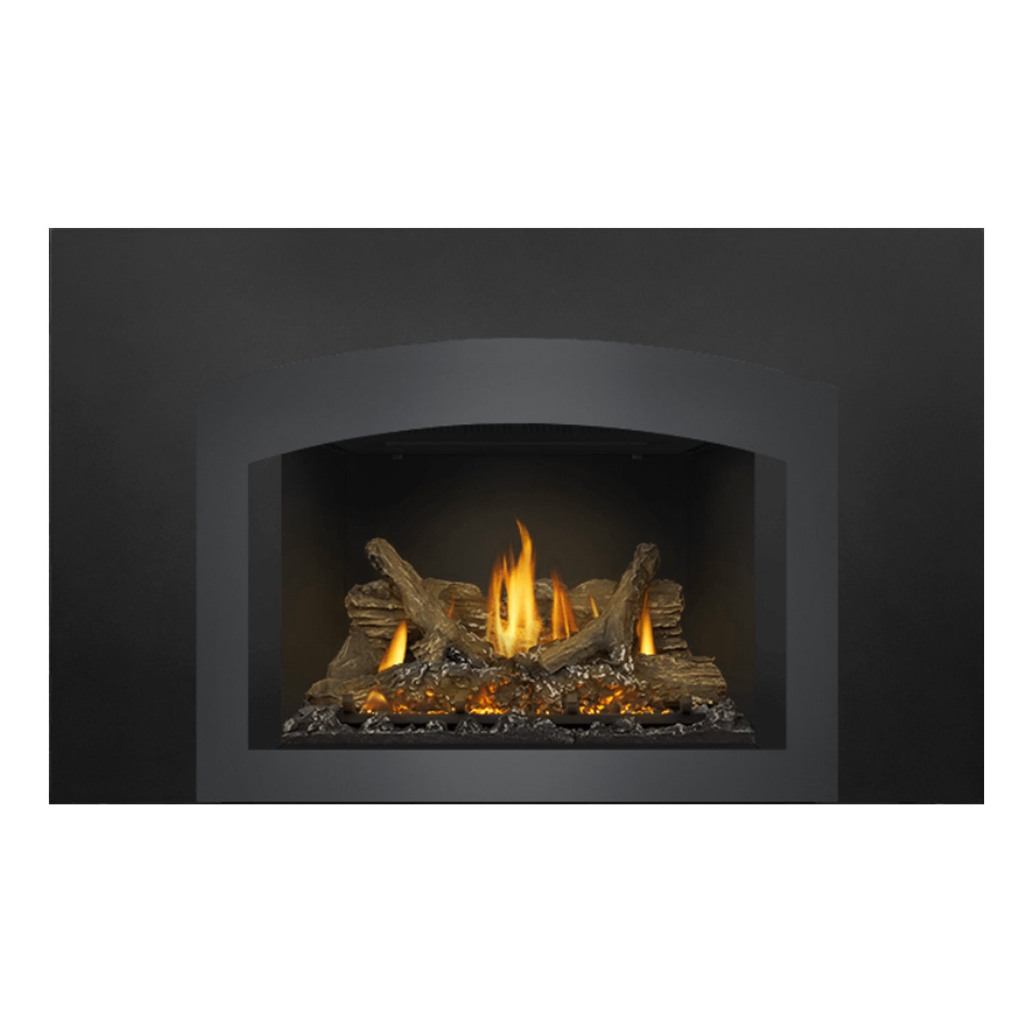 Napoleon GDIX3N-1 Oakville Series Electronic Ignition Direct Vent Gas Fireplace Insert