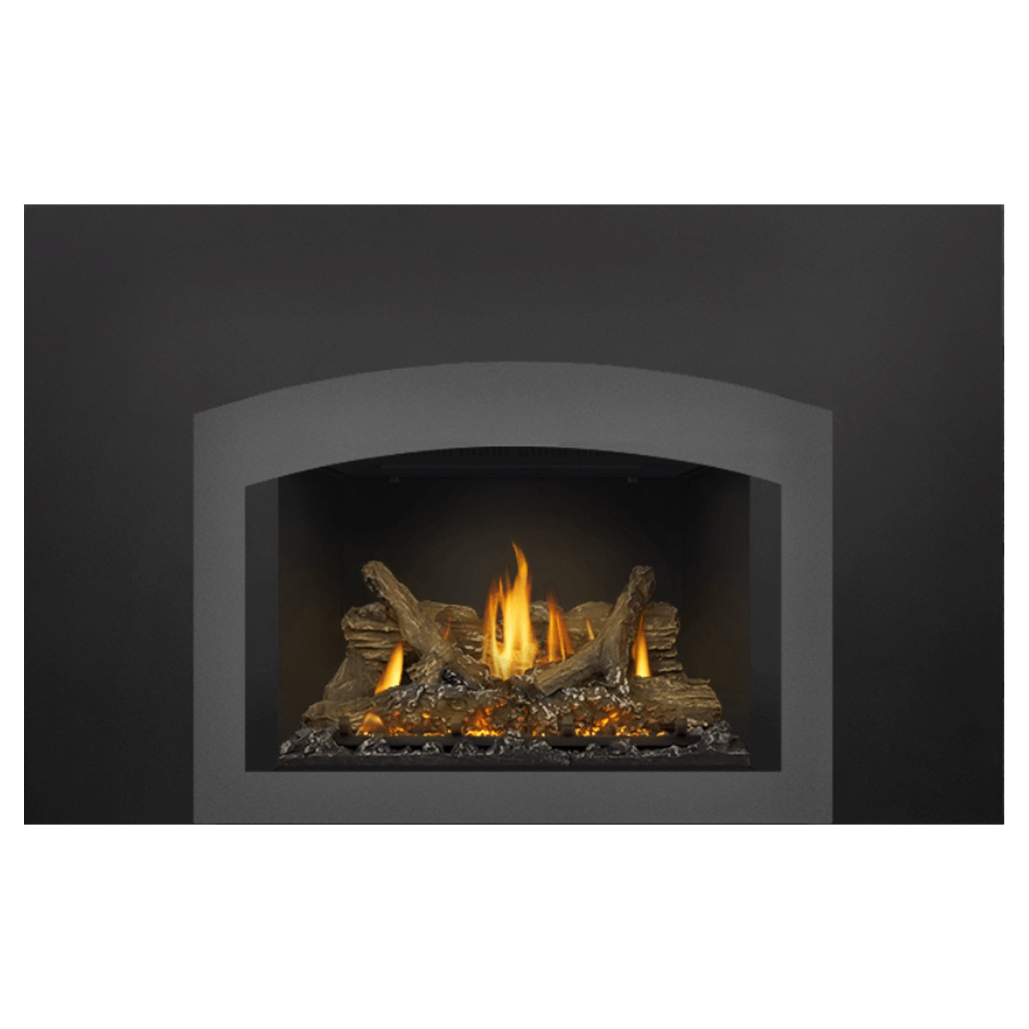 Napoleon GDIX3N-1 Oakville Series Electronic Ignition Direct Vent Gas Fireplace Insert