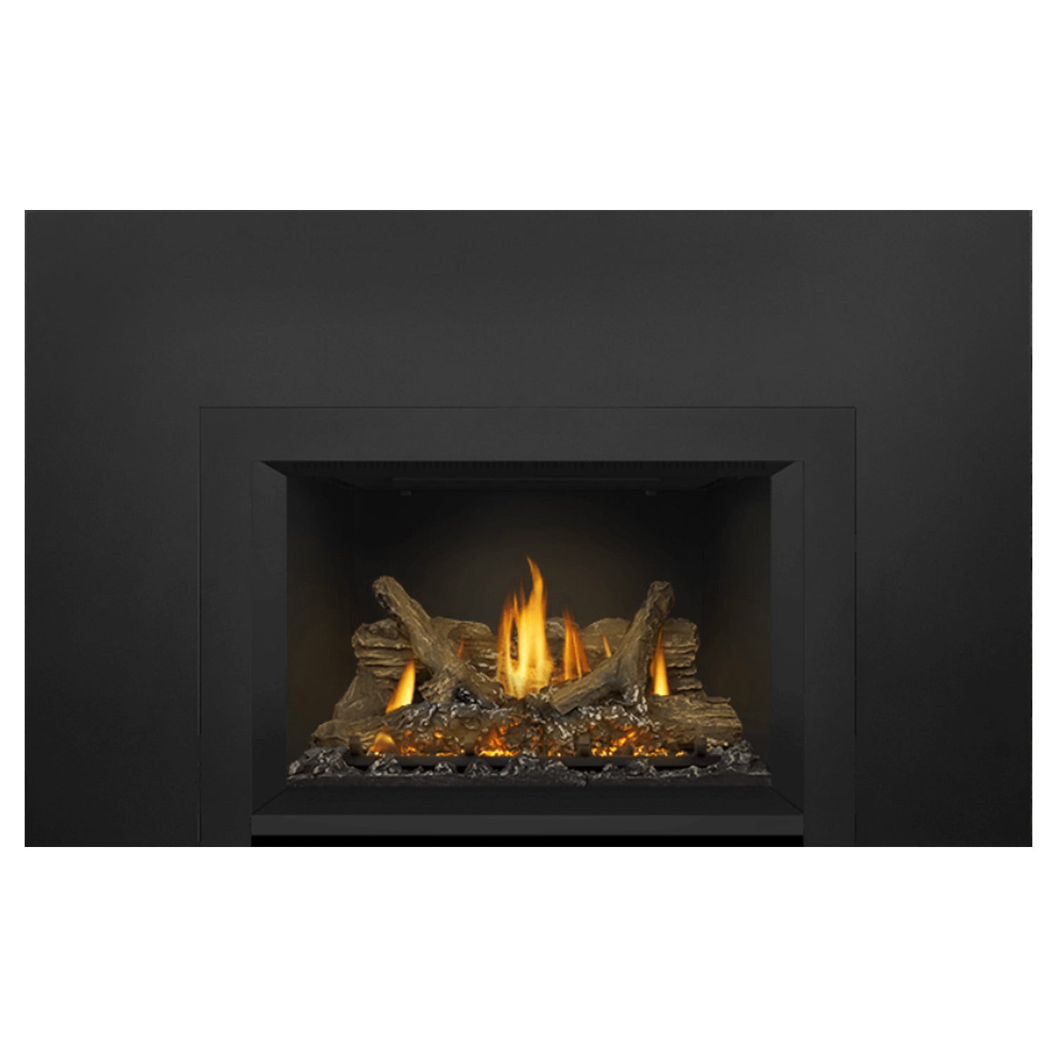 Napoleon GDIX3N-1 Oakville Series Electronic Ignition Direct Vent Gas Fireplace Insert
