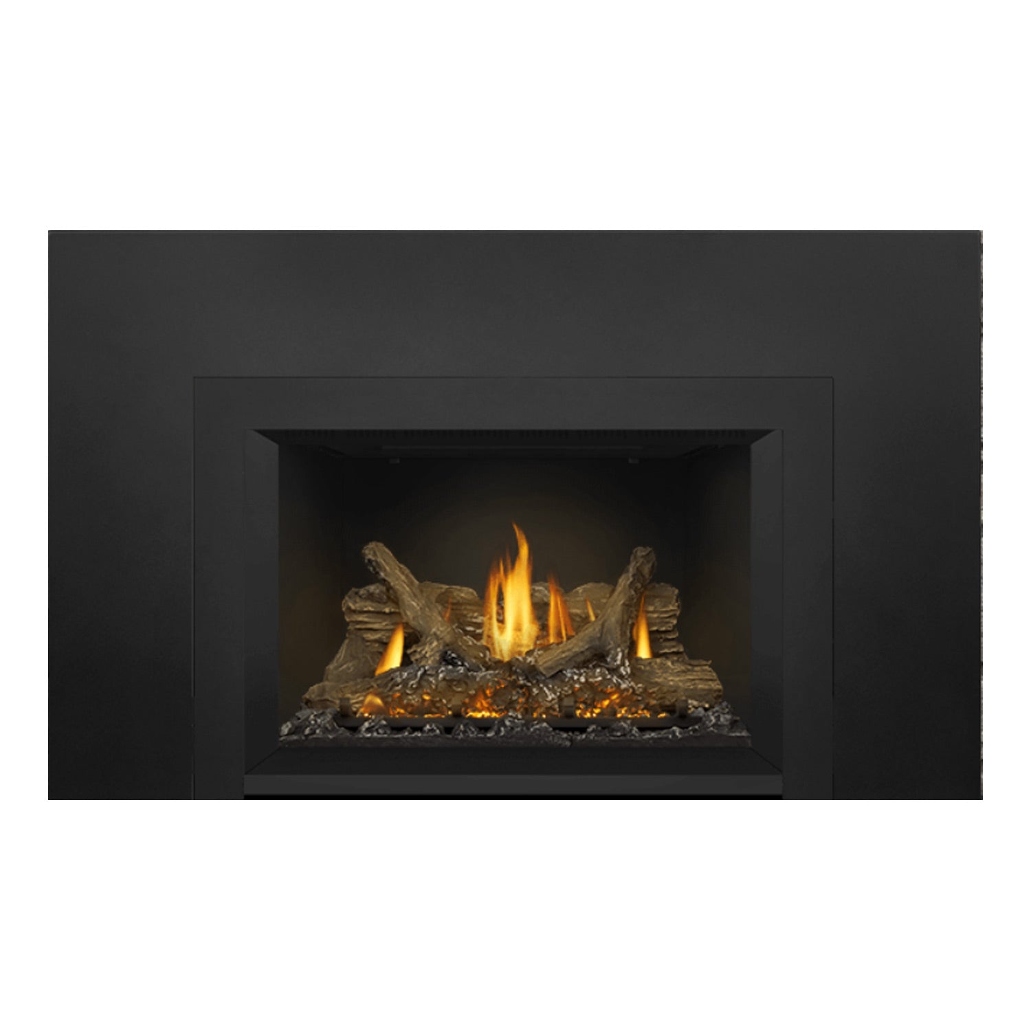 Napoleon GDIX3N-1 Oakville Series Electronic Ignition Direct Vent Gas Fireplace Insert