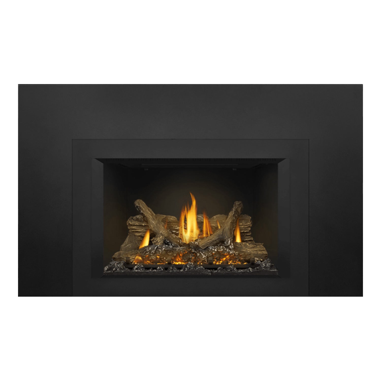 Napoleon GDIX3N-1 Oakville Series Electronic Ignition Direct Vent Gas Fireplace Insert
