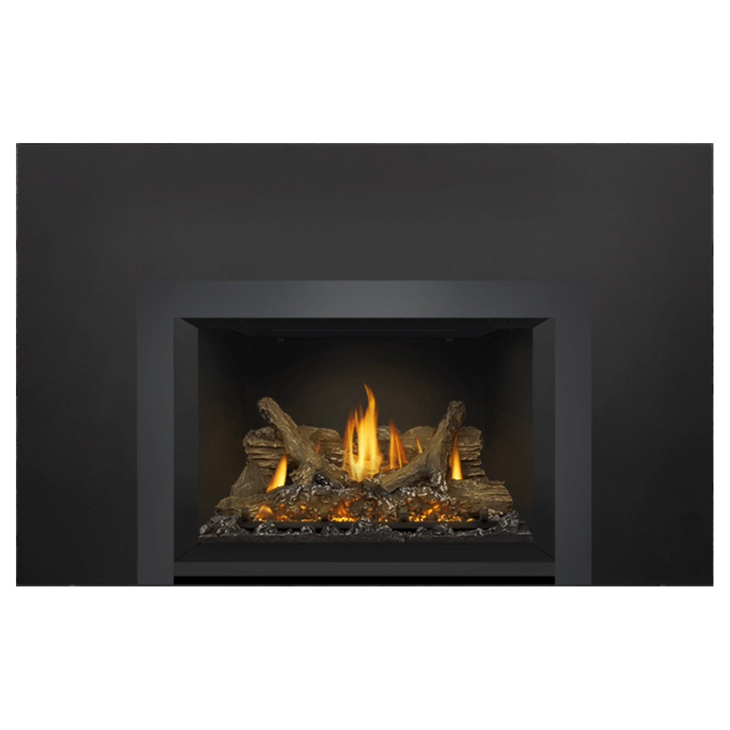 Napoleon GDIX3N-1 Oakville Series Electronic Ignition Direct Vent Gas Fireplace Insert