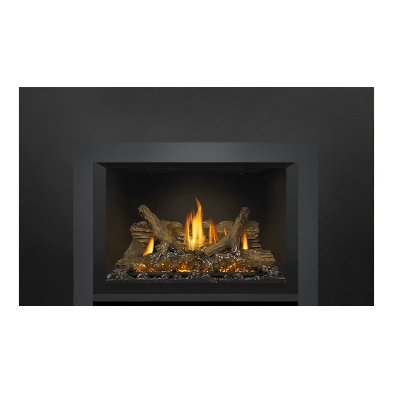 Napoleon GDIX3N-1 Oakville Series Electronic Ignition Direct Vent Gas Fireplace Insert