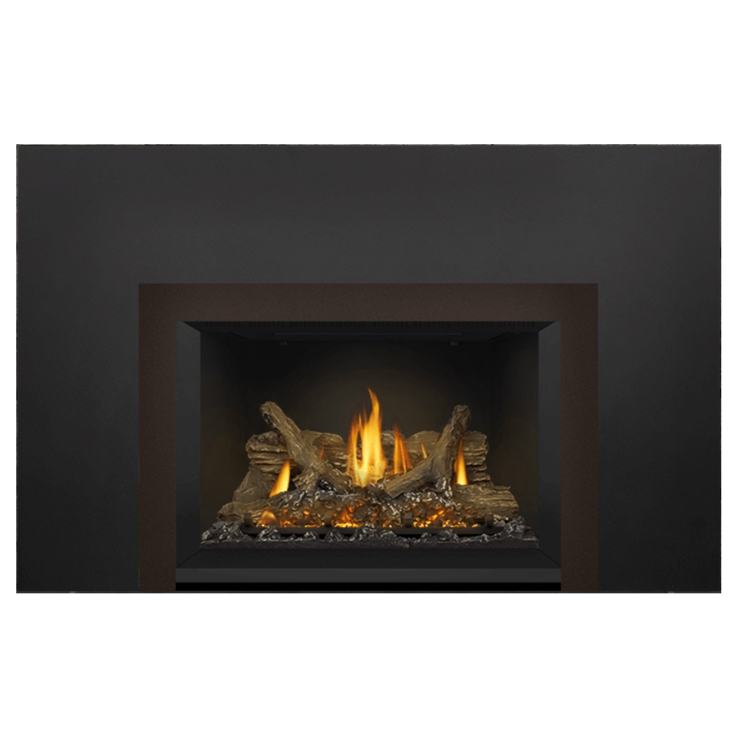 Napoleon GDIX3N-1 Oakville Series Electronic Ignition Direct Vent Gas Fireplace Insert
