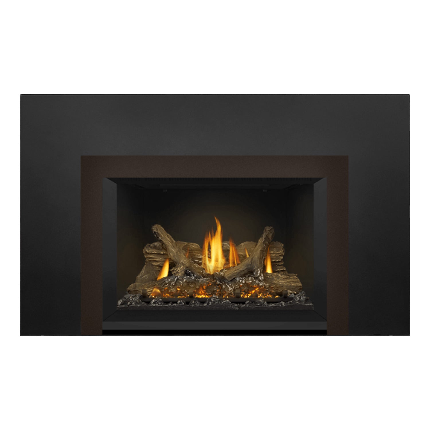 Napoleon GDIX3N-1 Oakville Series Electronic Ignition Direct Vent Gas Fireplace Insert
