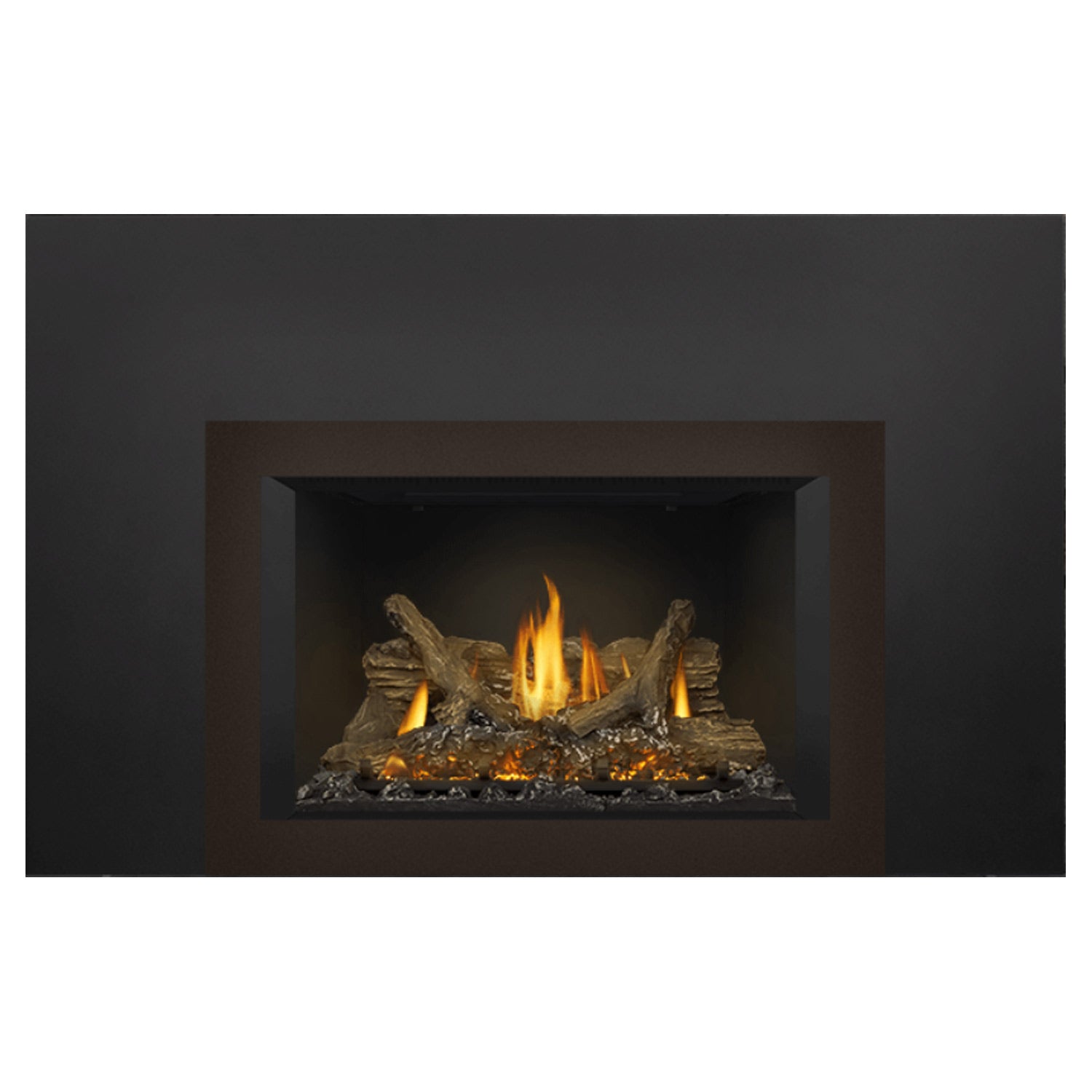 Napoleon GDIX3N-1 Oakville Series Electronic Ignition Direct Vent Gas Fireplace Insert