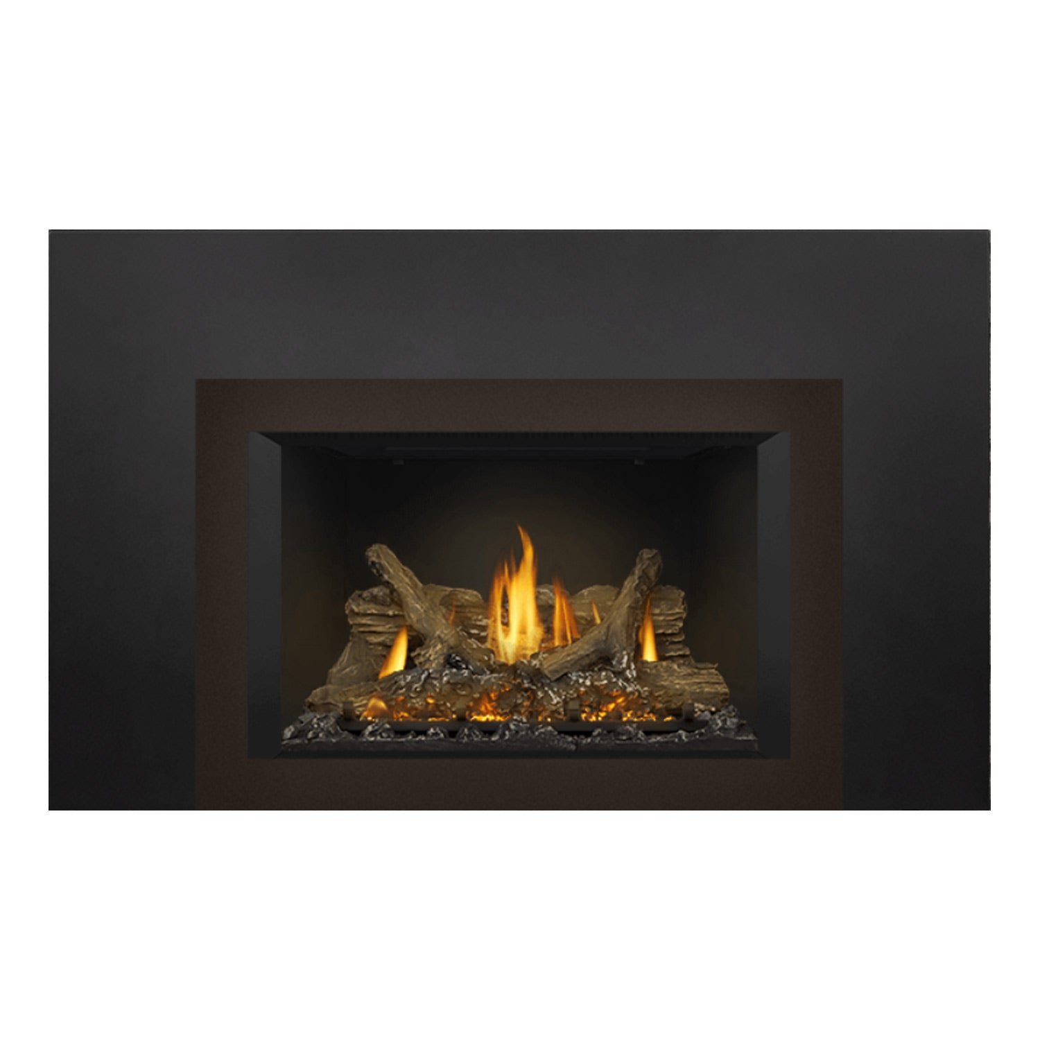 Napoleon GDIX3N-1 Oakville Series Electronic Ignition Direct Vent Gas Fireplace Insert