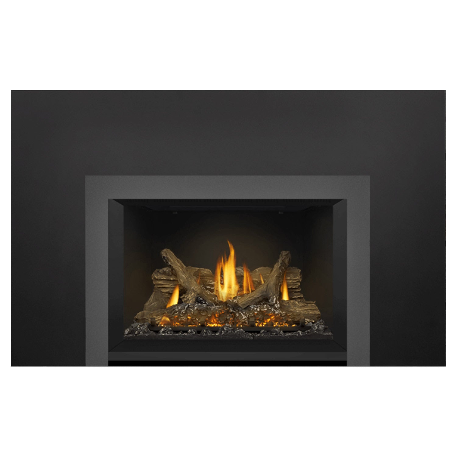 Napoleon GDIX3N-1 Oakville Series Electronic Ignition Direct Vent Gas Fireplace Insert