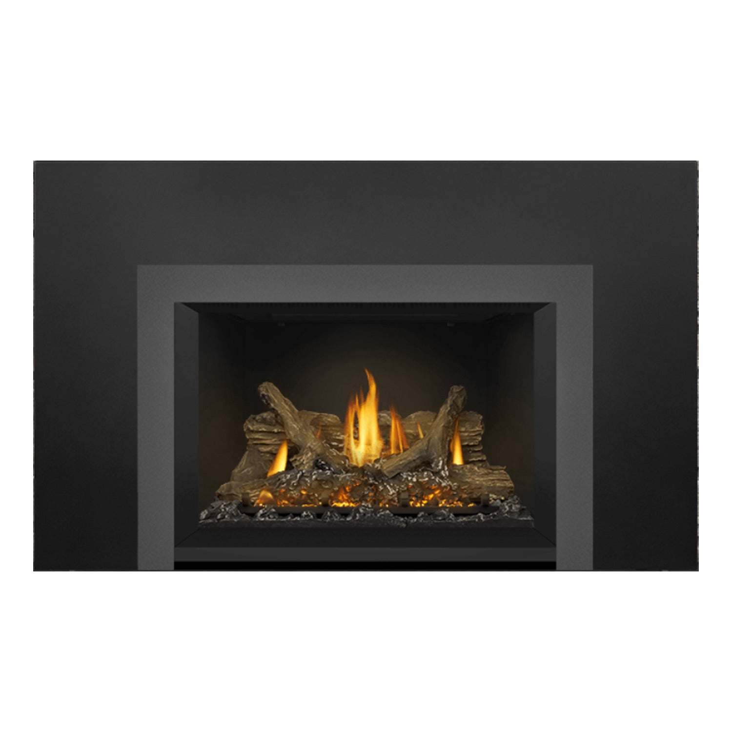 Napoleon GDIX3N-1 Oakville Series Electronic Ignition Direct Vent Gas Fireplace Insert